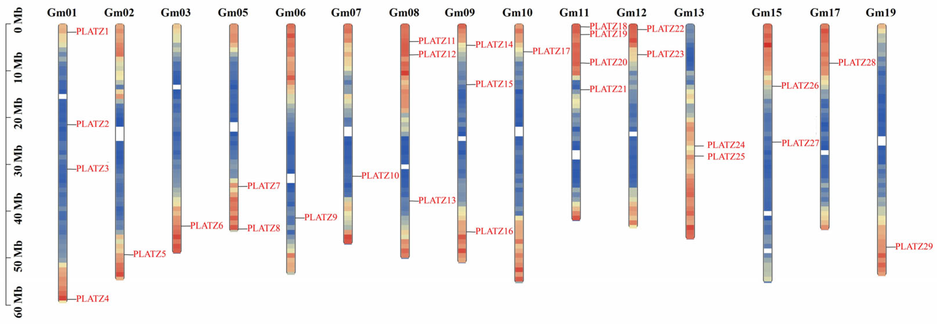 Plants 14 02004 g001