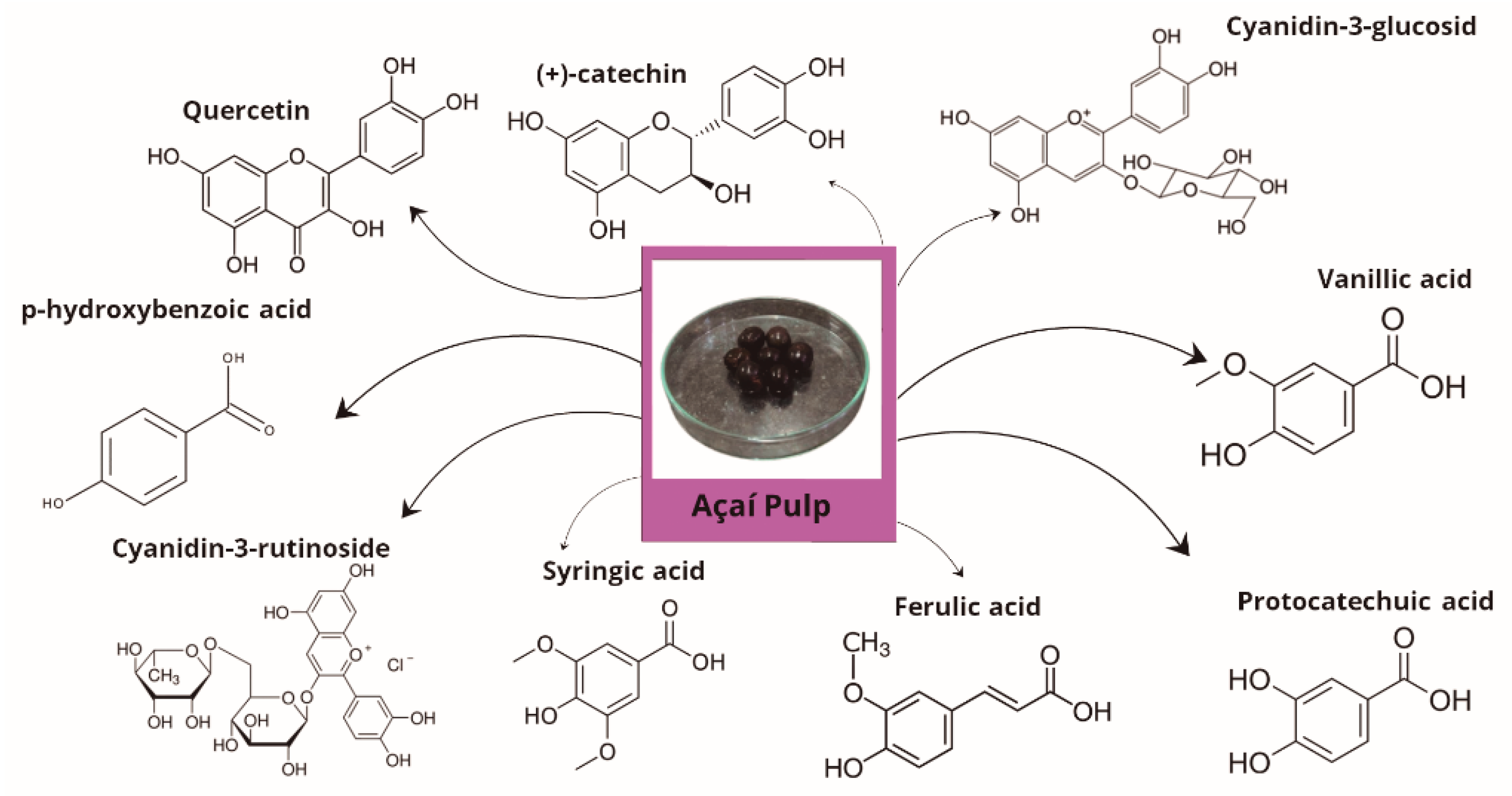 Plants 14 02010 g002 Plants 14 02010 g002