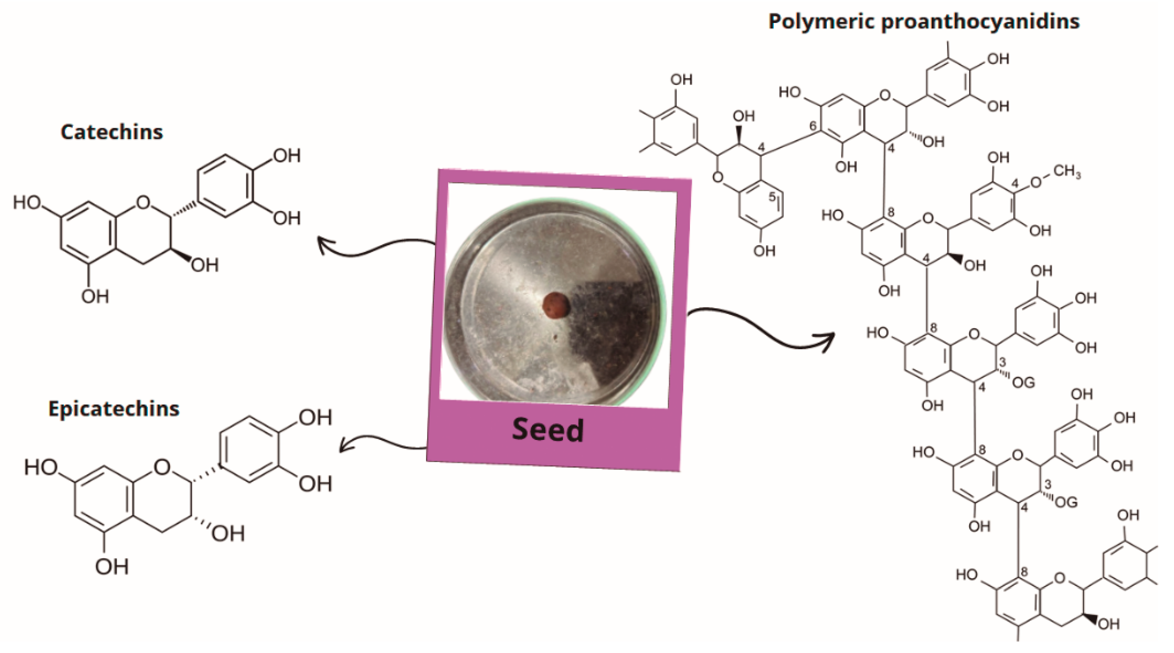Plants 14 02010 g003 Plants 14 02010 g003