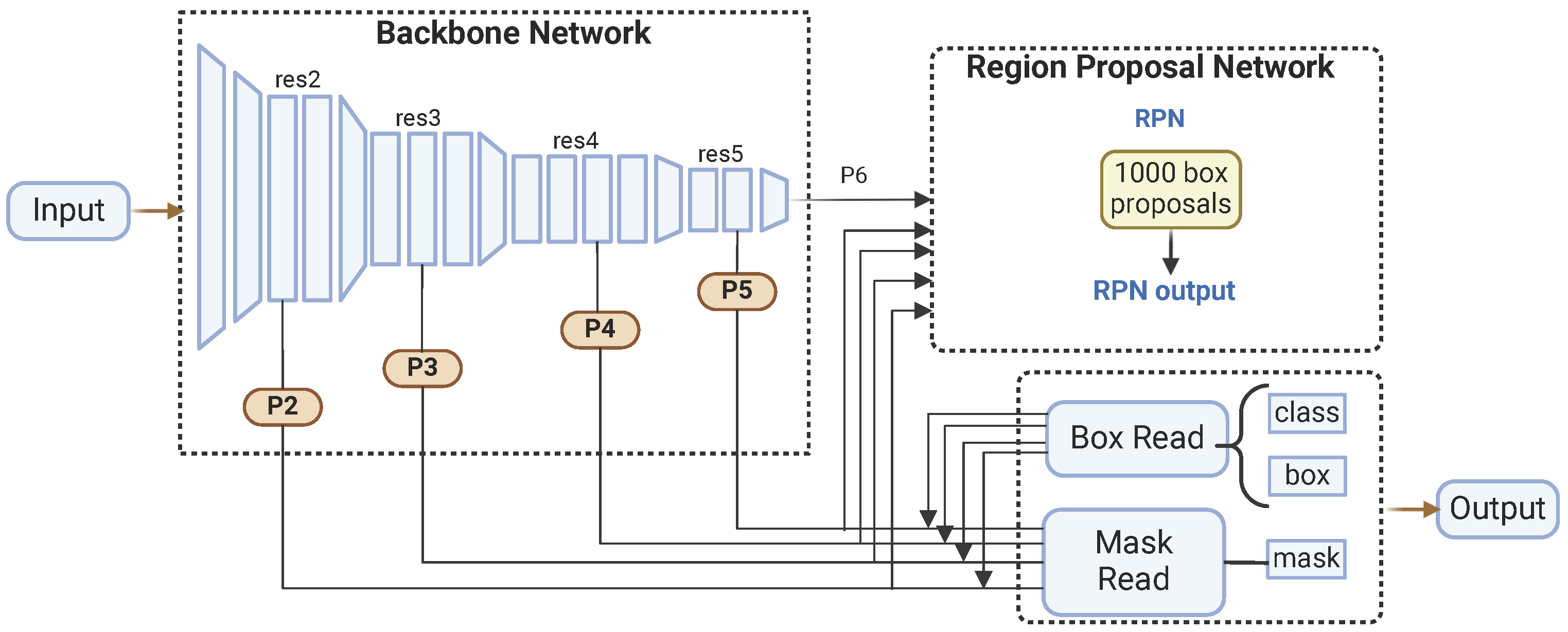 Plants 14 02011 g002