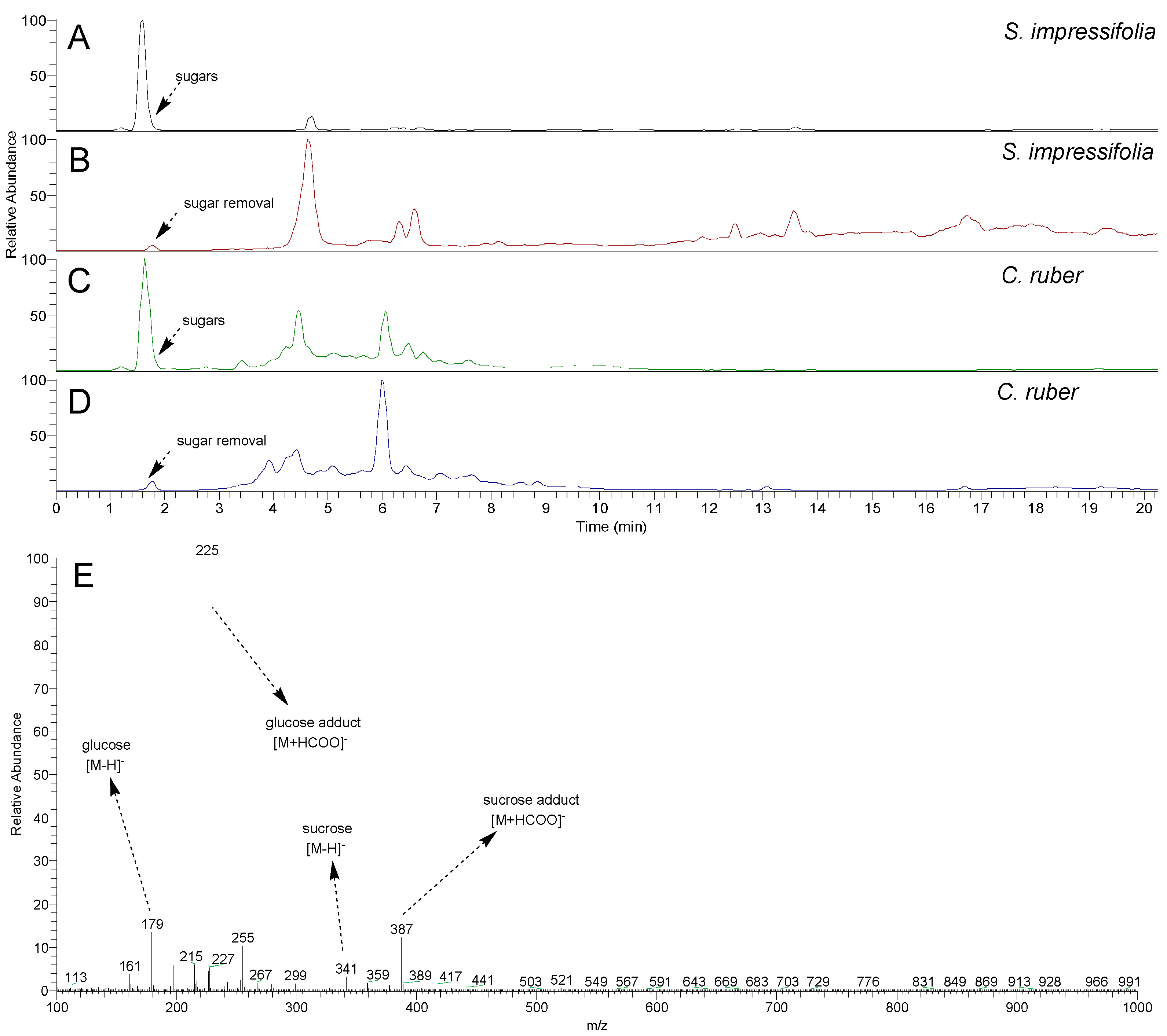 Plants 14 02012 g001