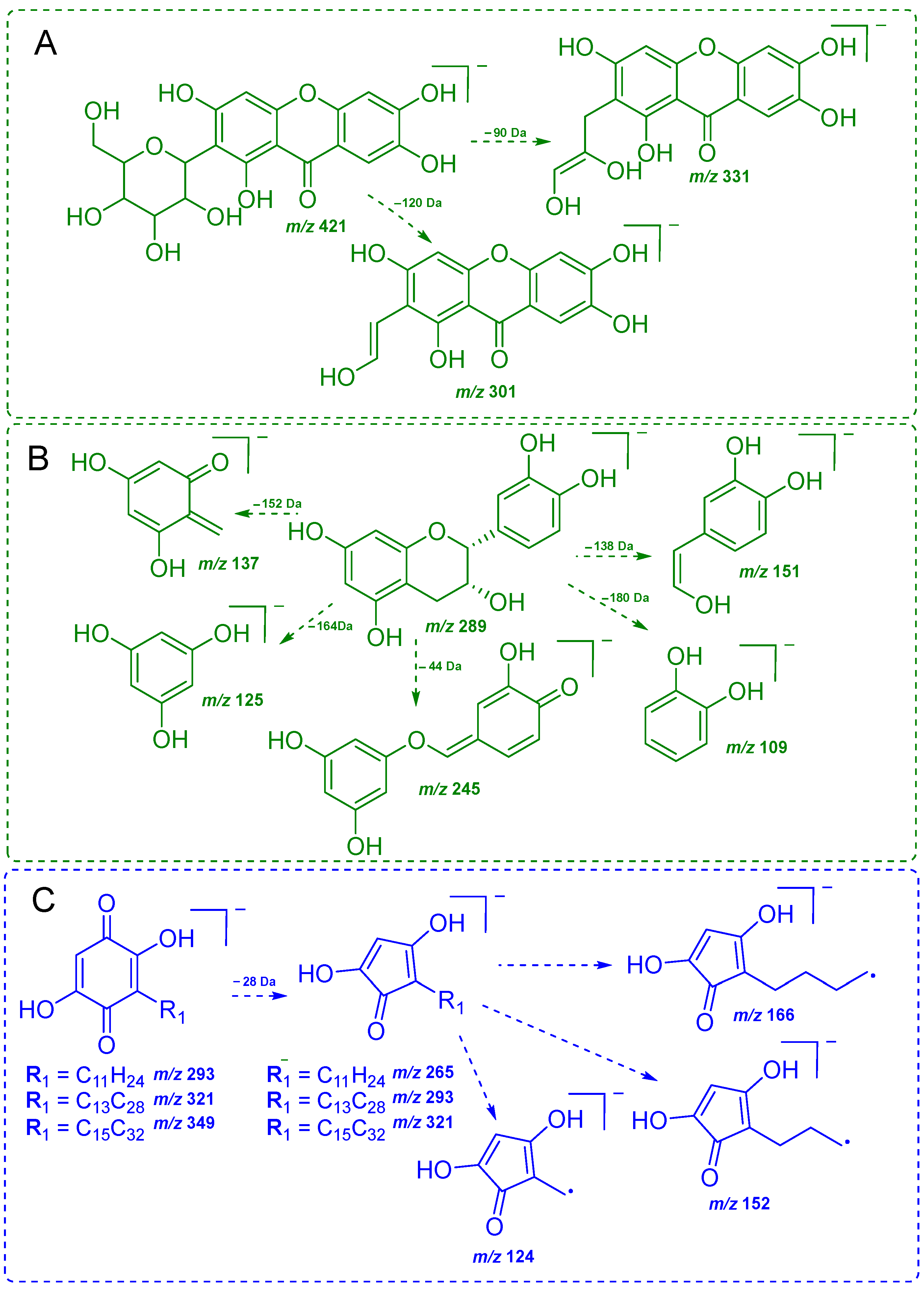 Plants 14 02012 g004