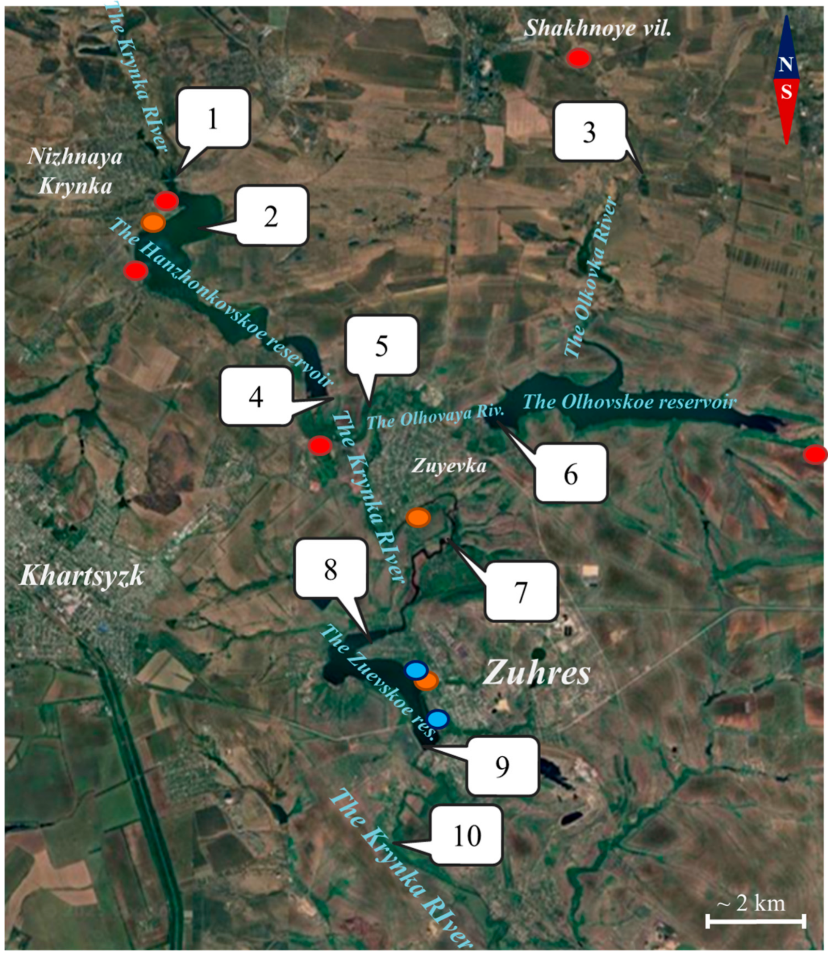 Plants 14 02014 g001