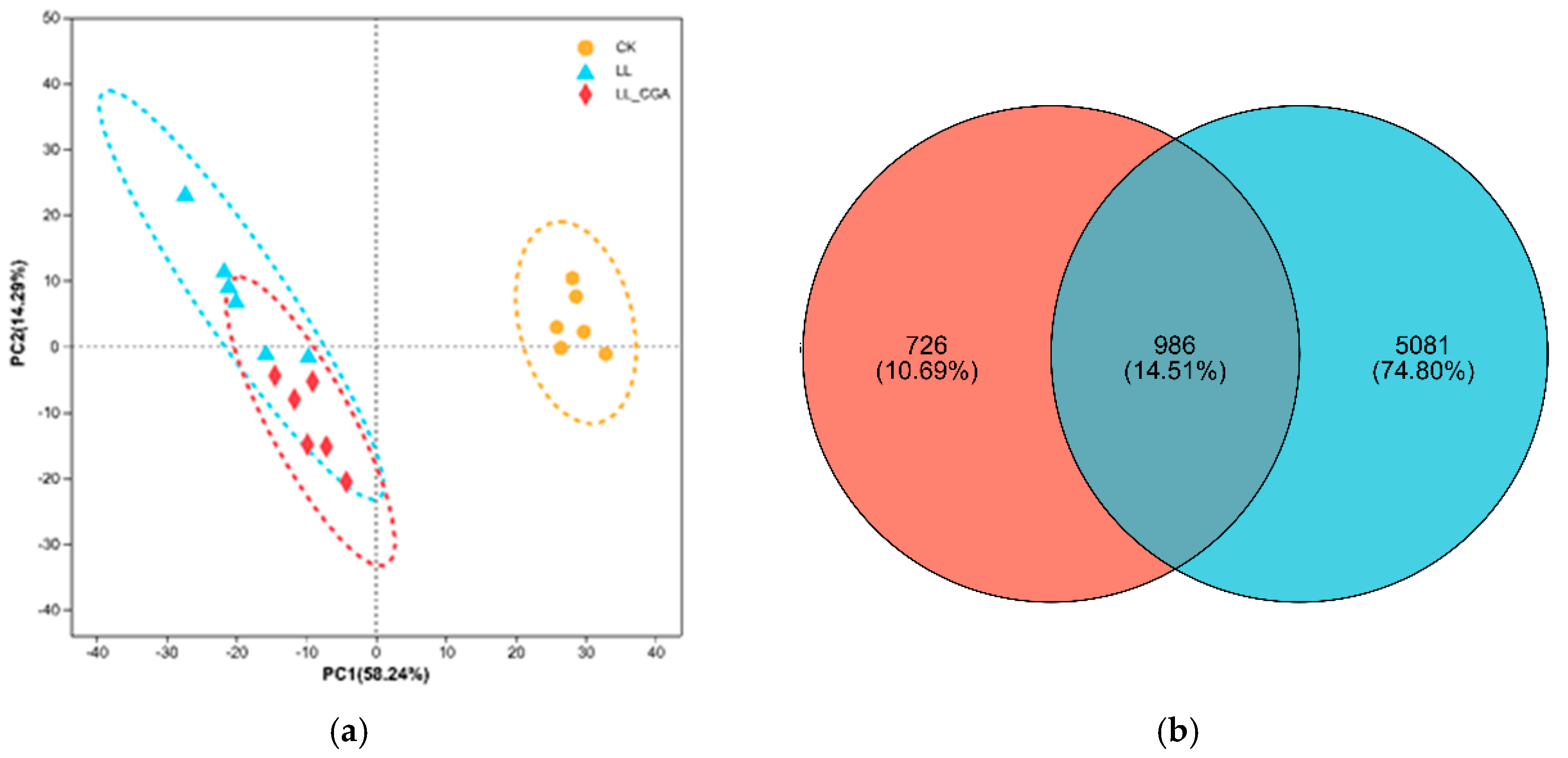 Plants 14 02026 g002