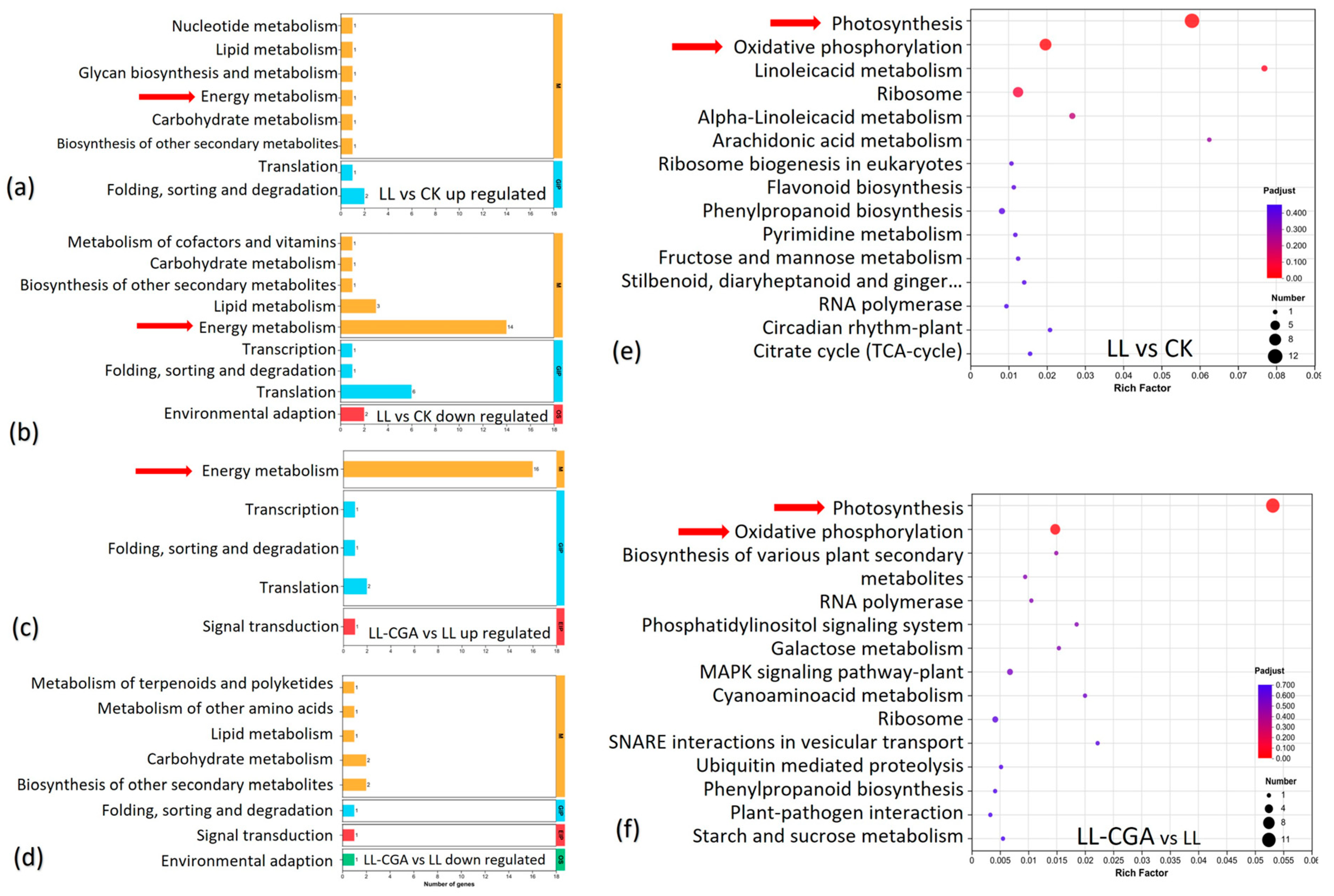 Plants 14 02026 g003