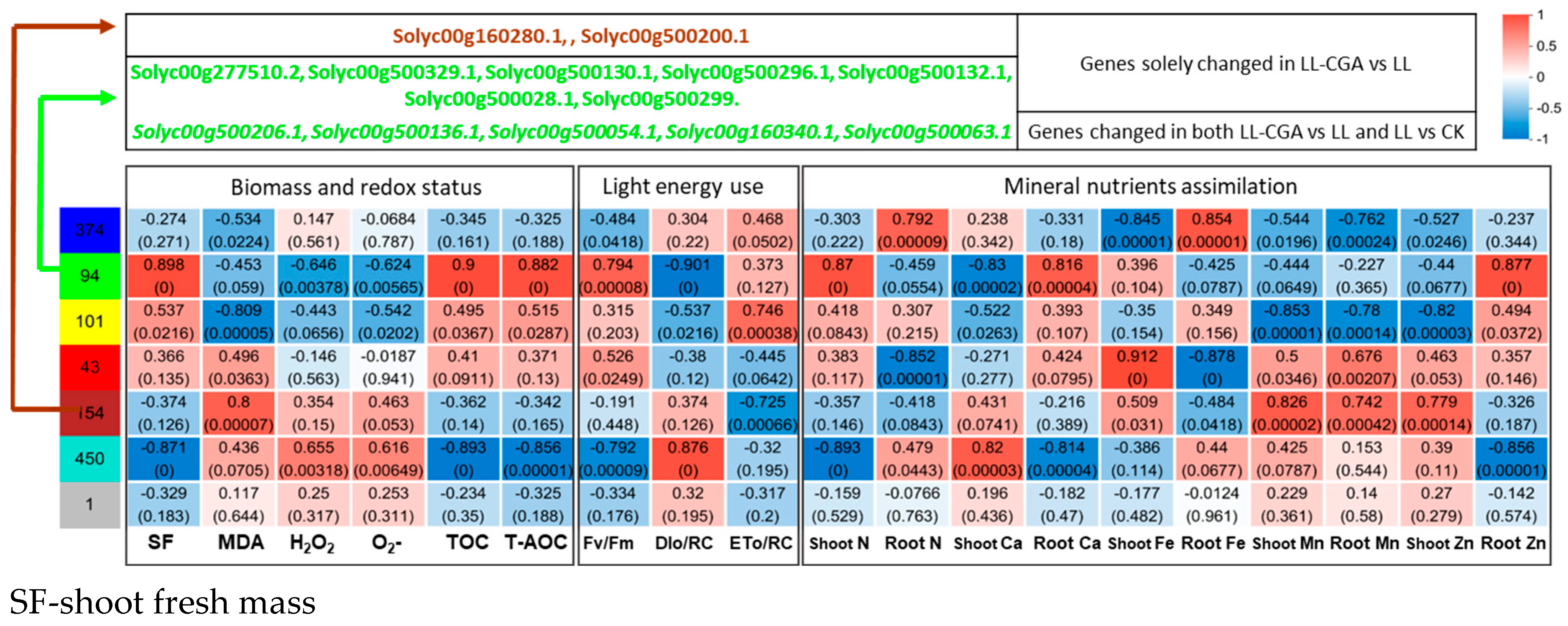 Plants 14 02026 g004