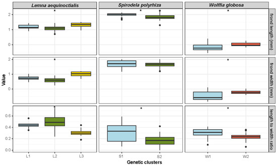 Genetic and Morphological Variation Among Populations of Duckweed ...