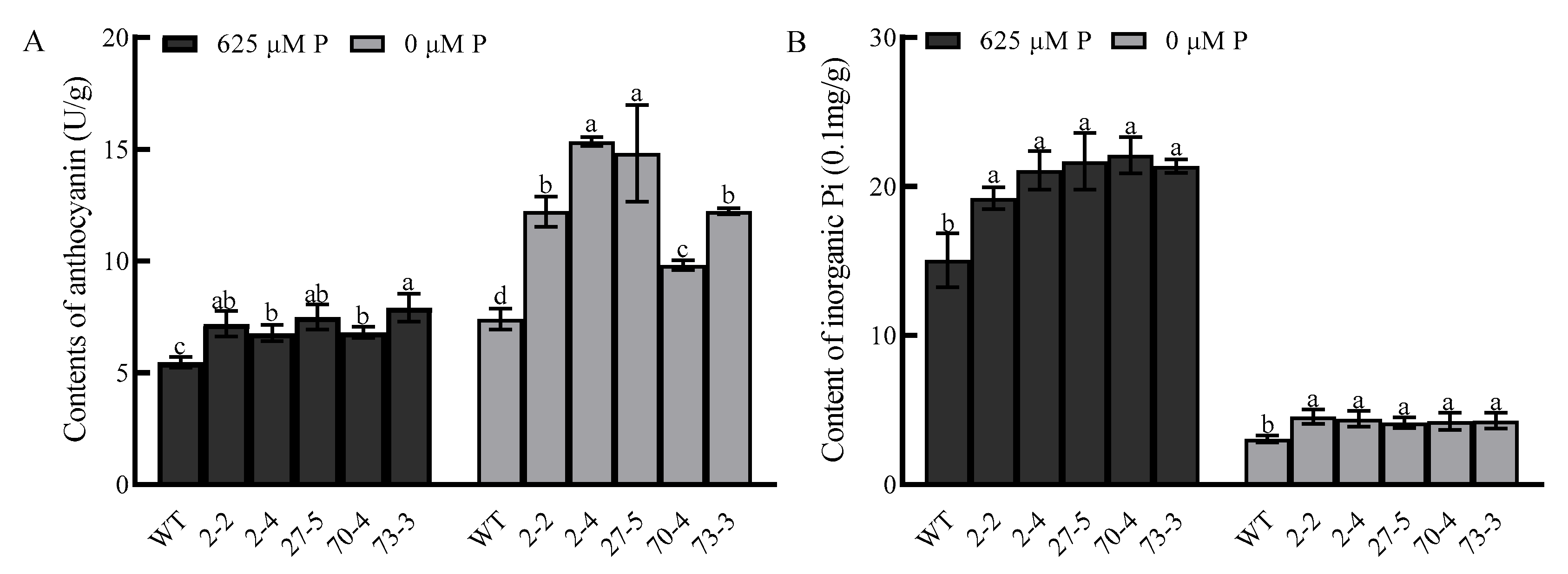 Plants 14 02036 g007