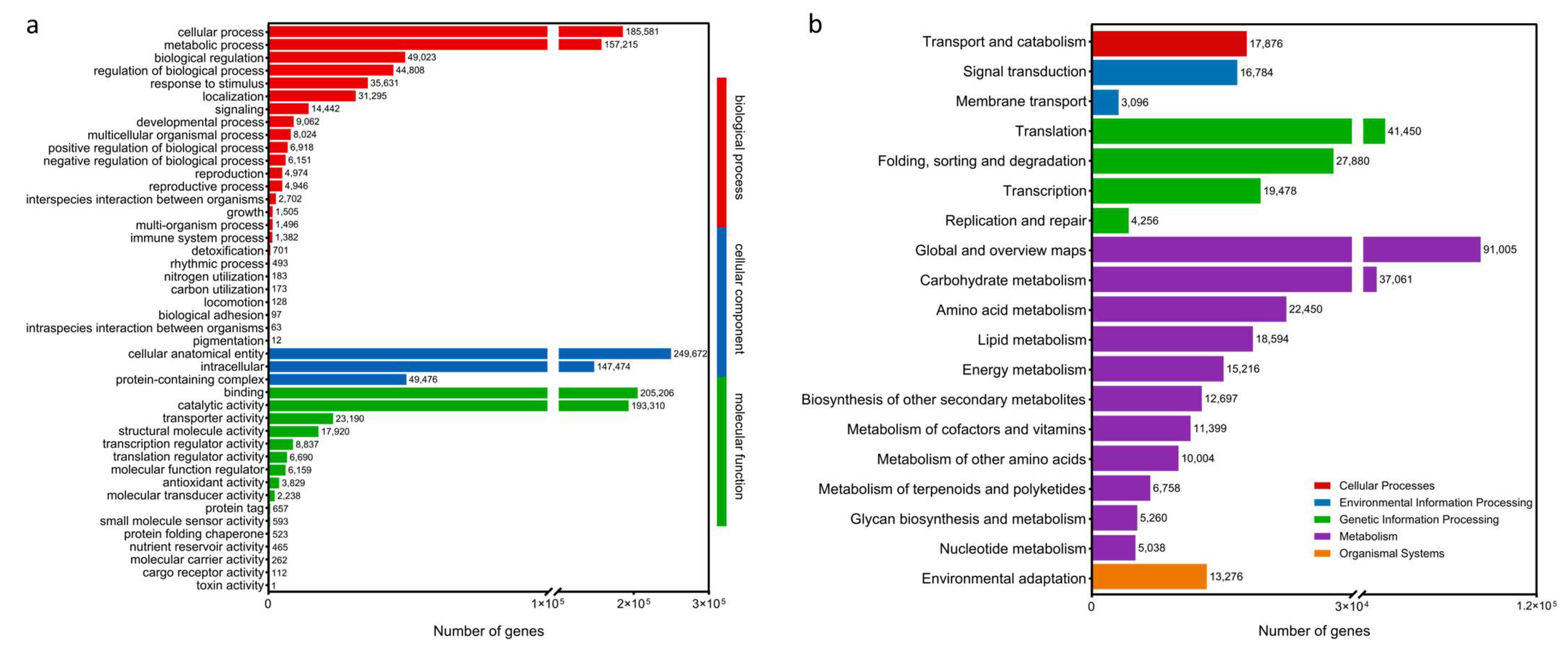 Plants 14 02038 g001