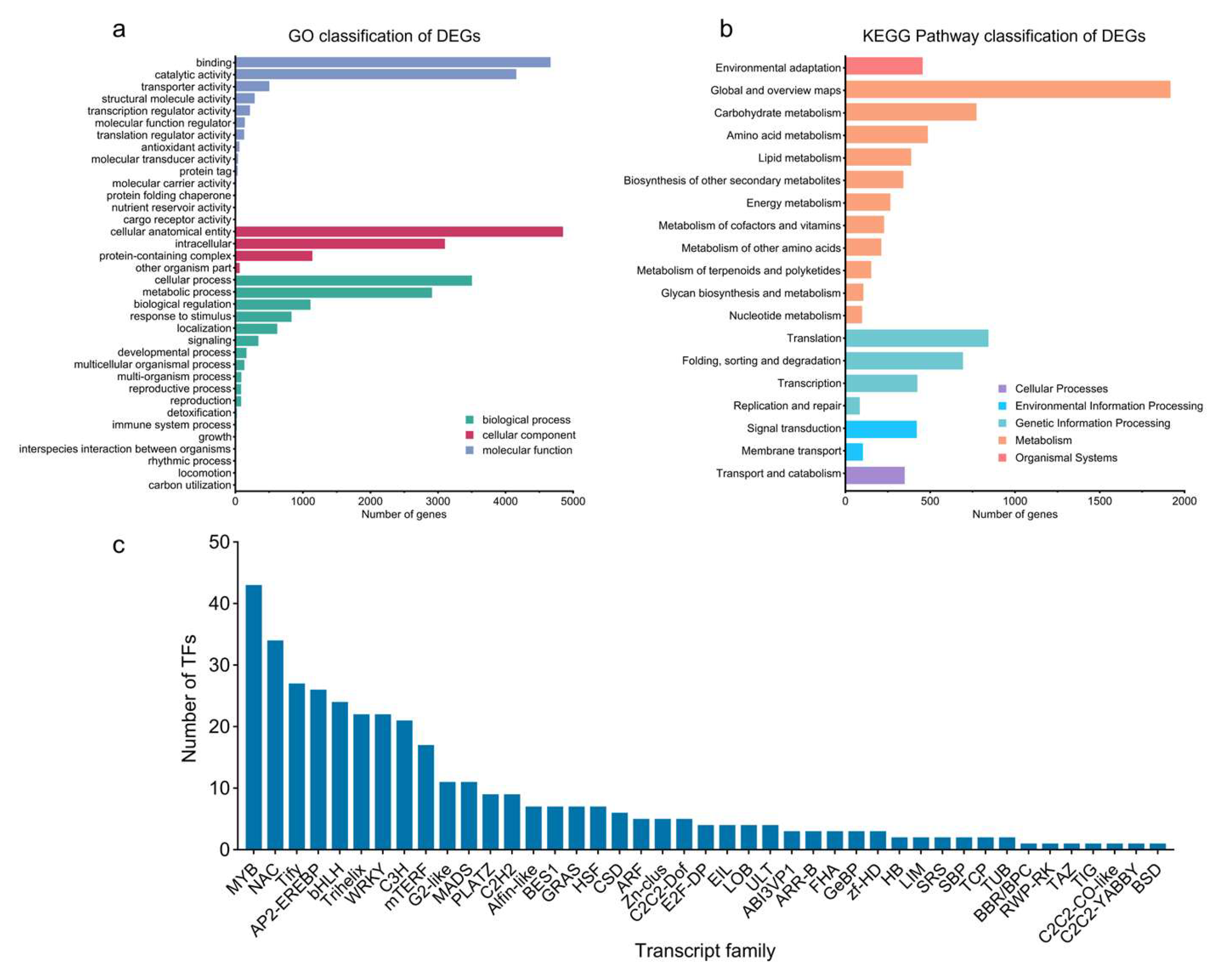 Plants 14 02038 g002