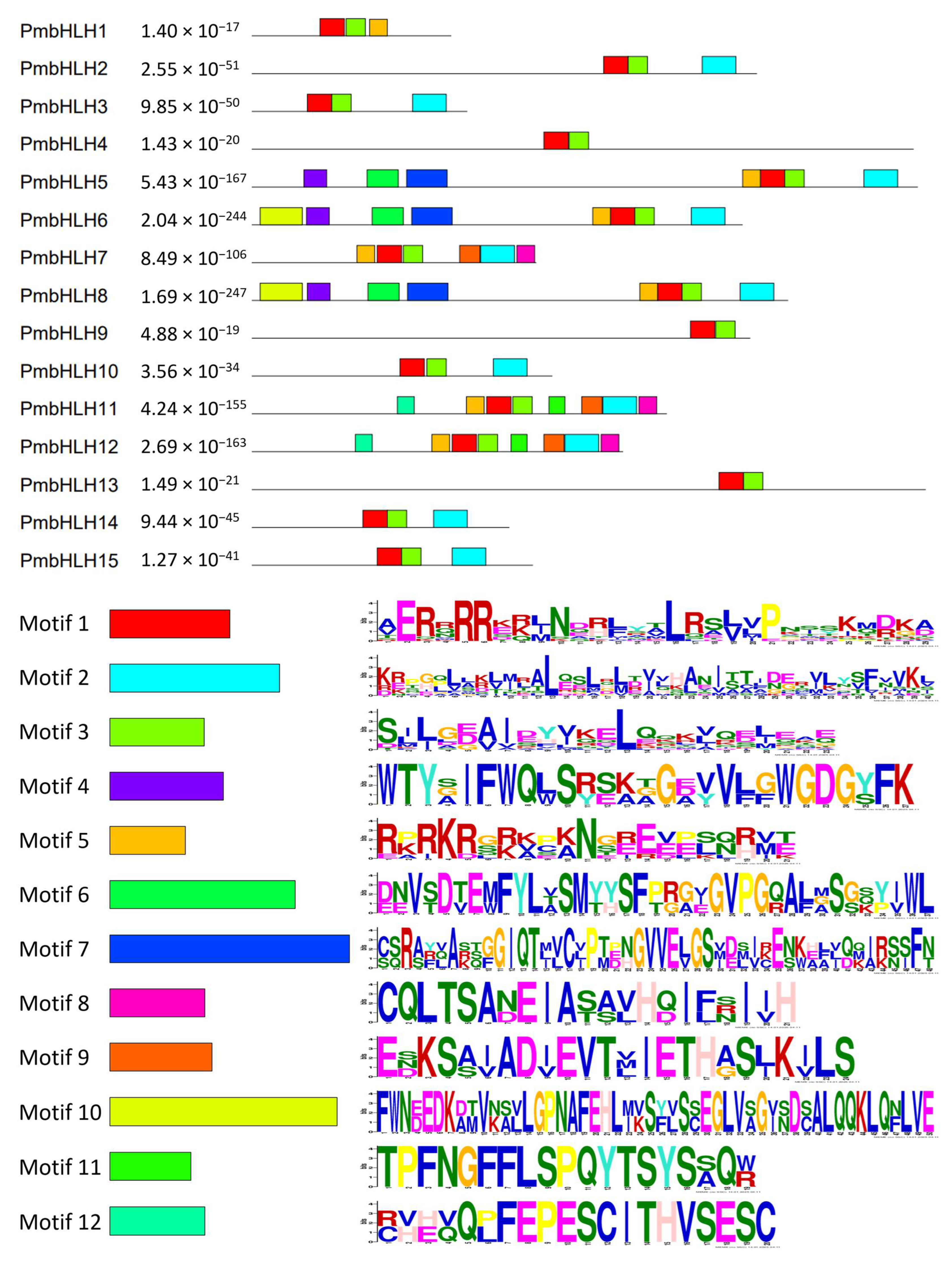 Plants 14 02038 g005
