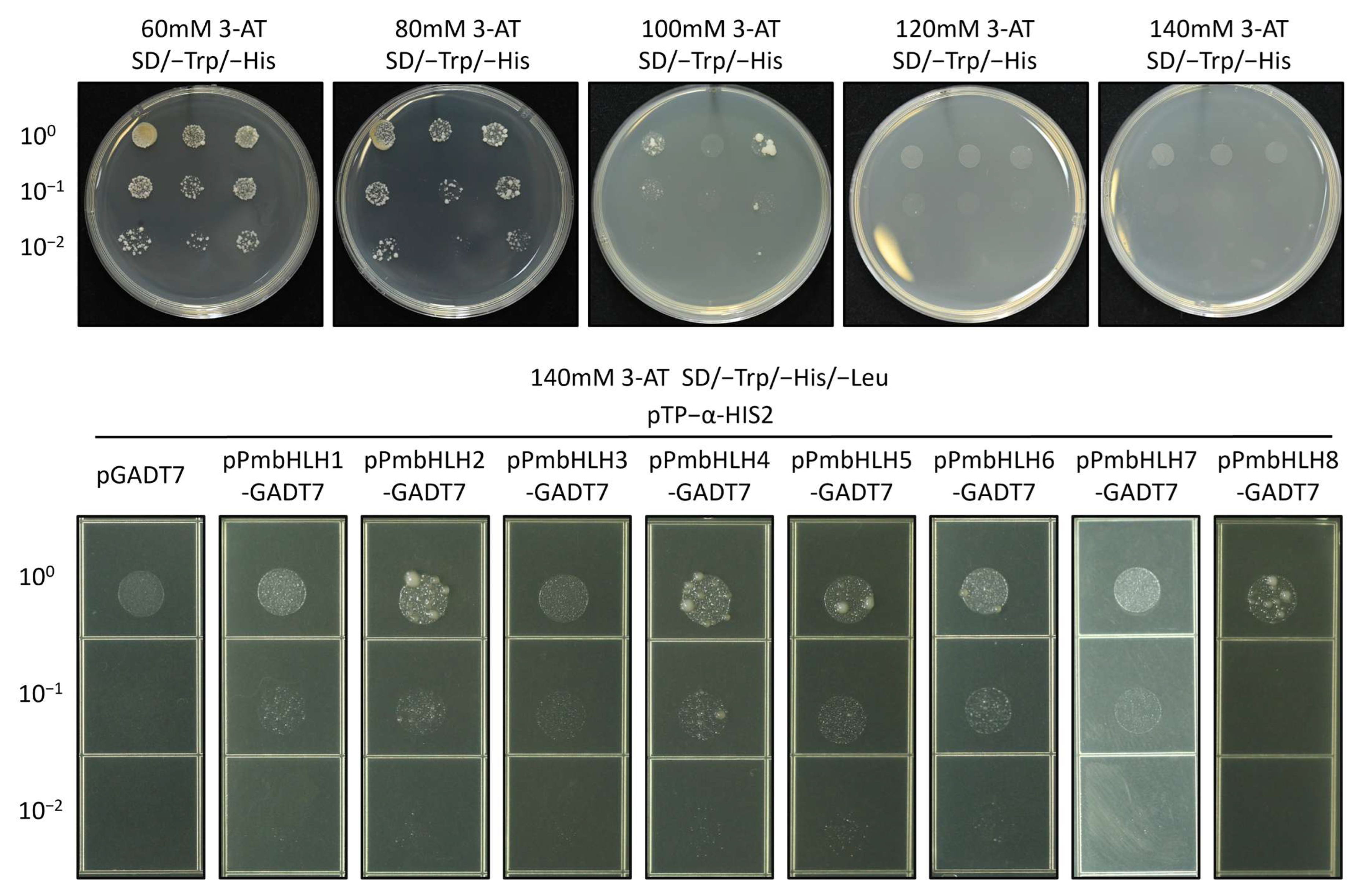 Plants 14 02038 g006