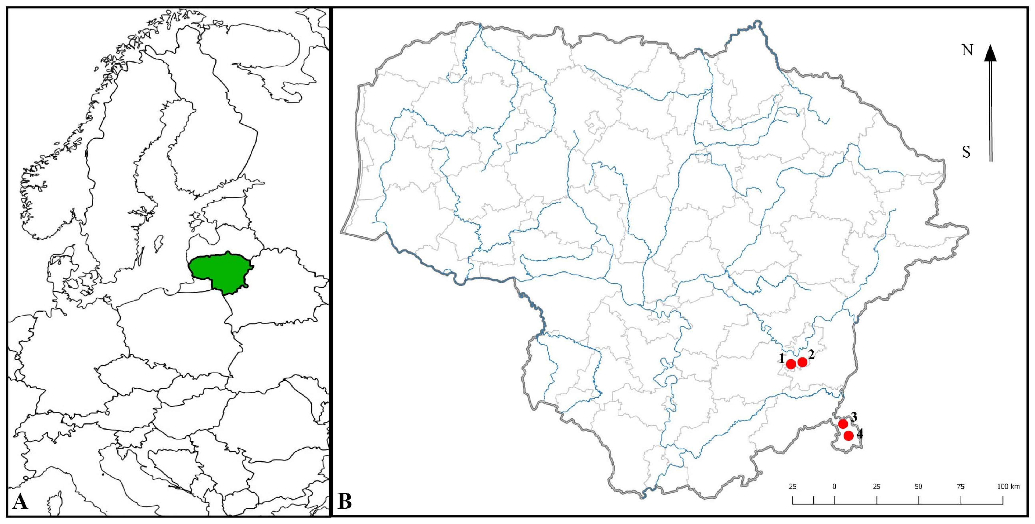 Plants 14 02039 g001