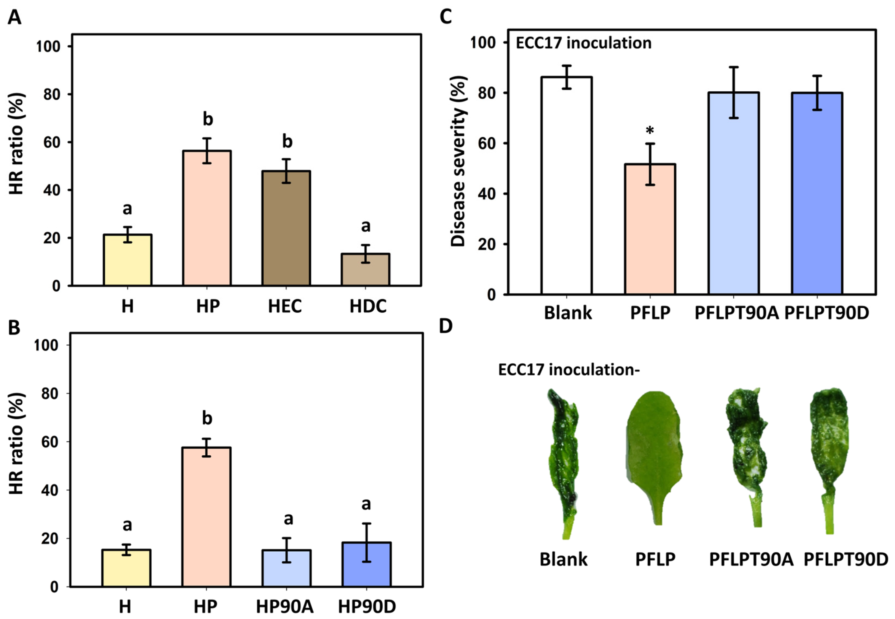 Plants 14 02044 g001