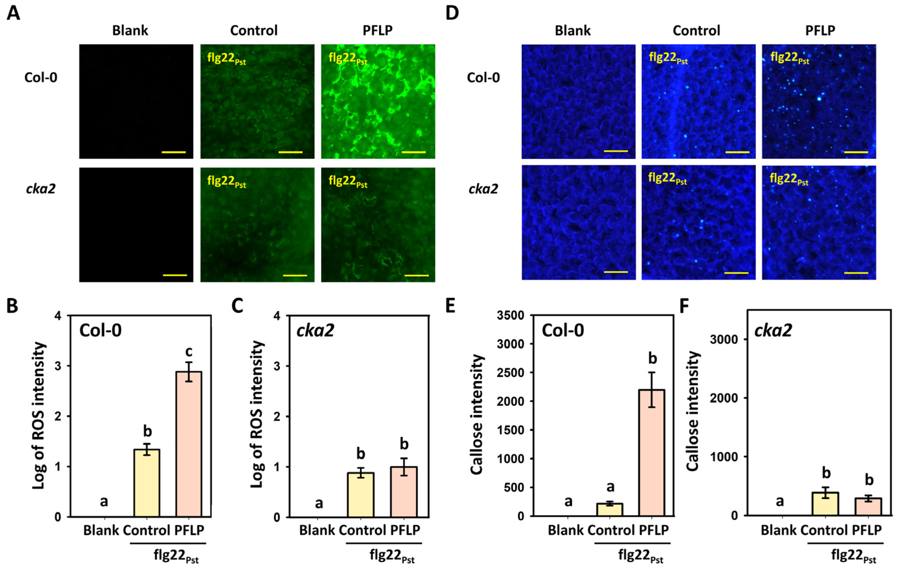 Plants 14 02044 g002