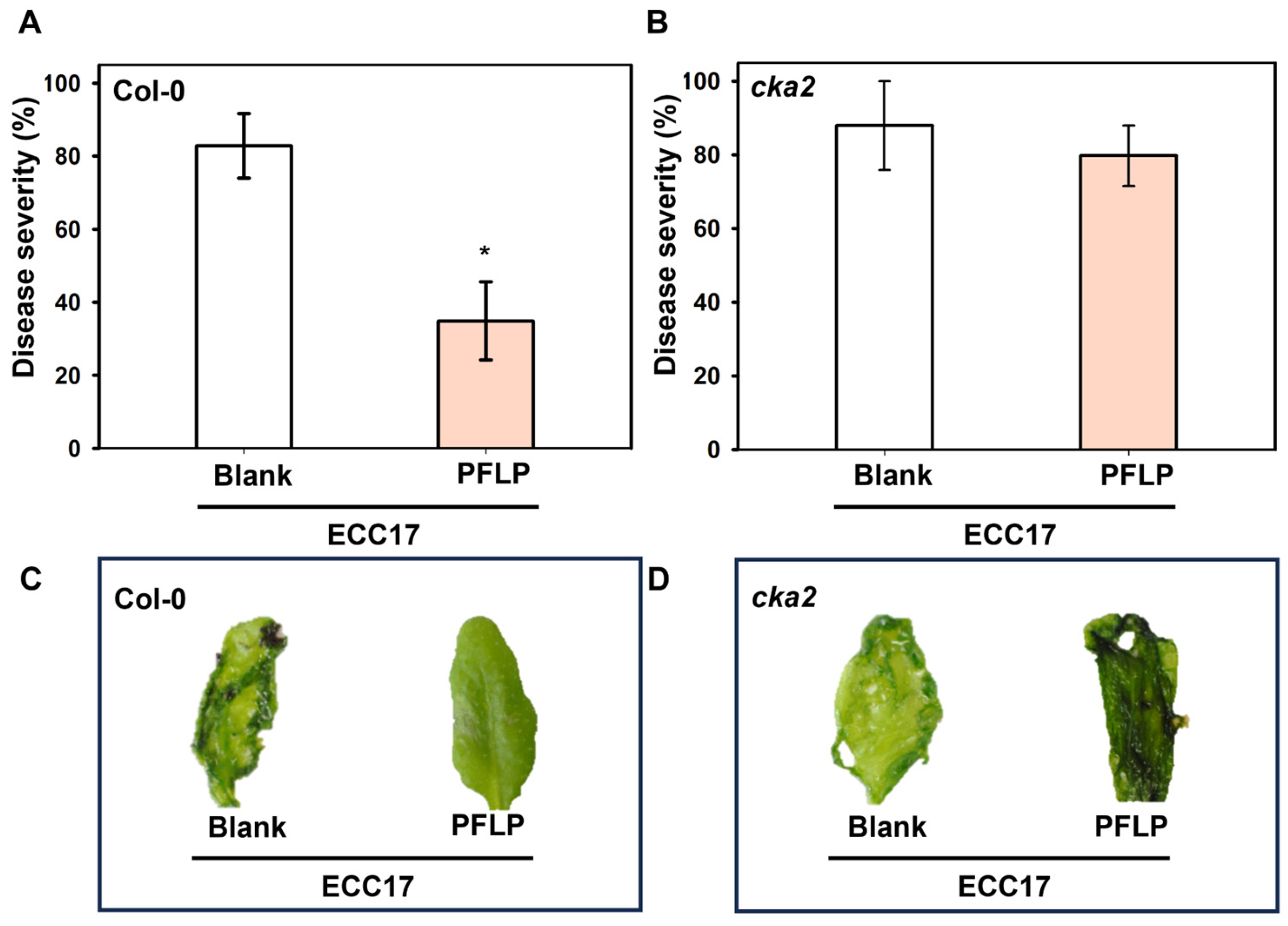 Plants 14 02044 g003
