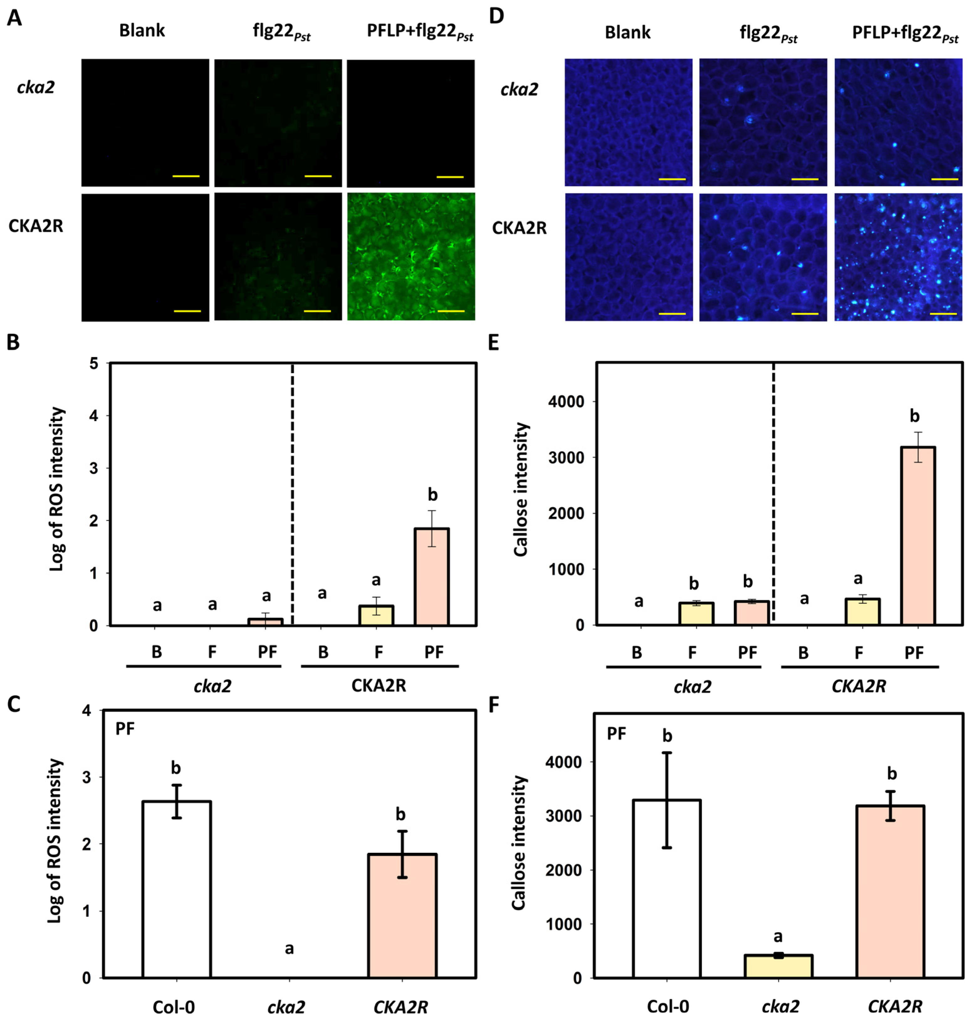 Plants 14 02044 g005