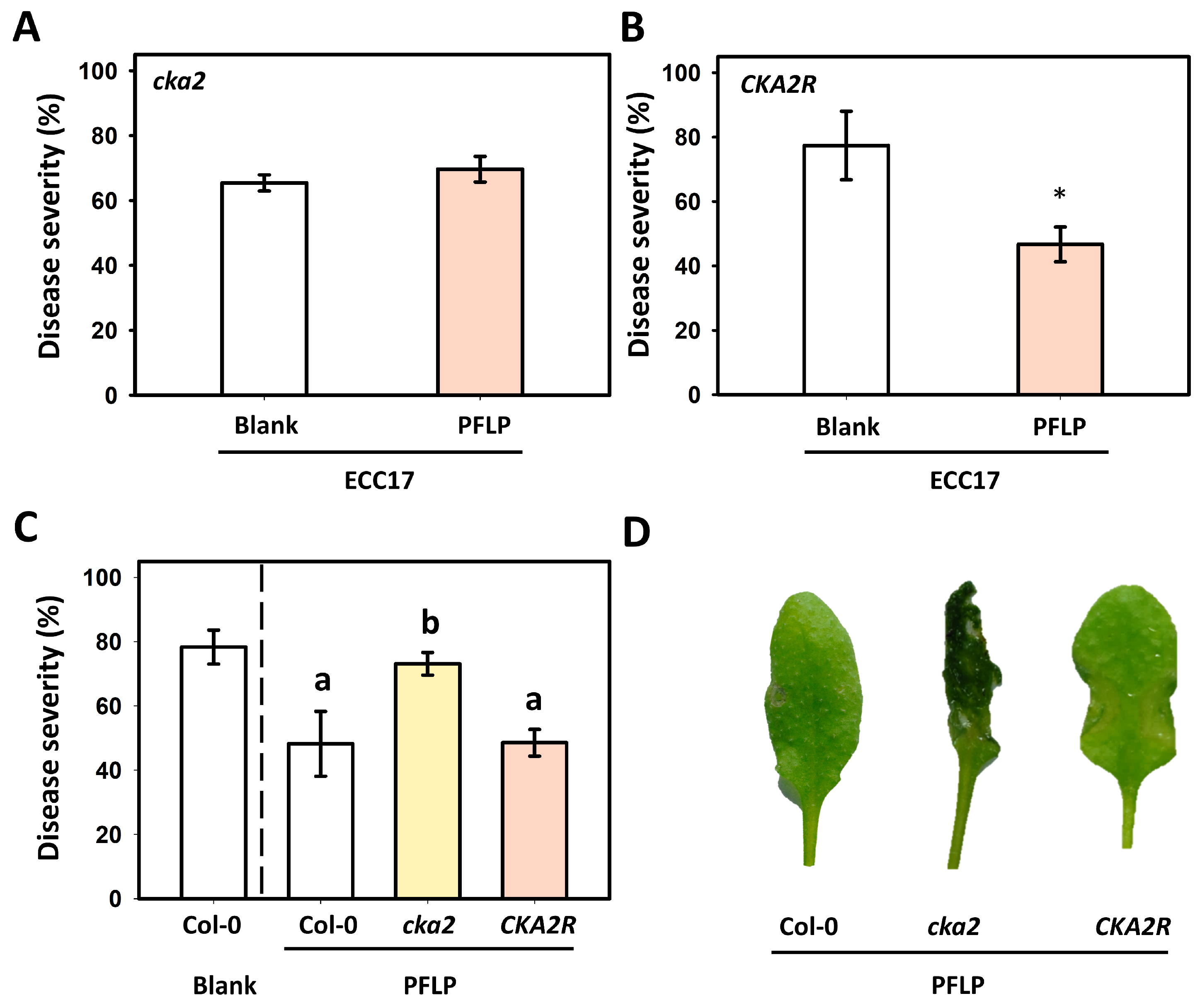 Plants 14 02044 g006