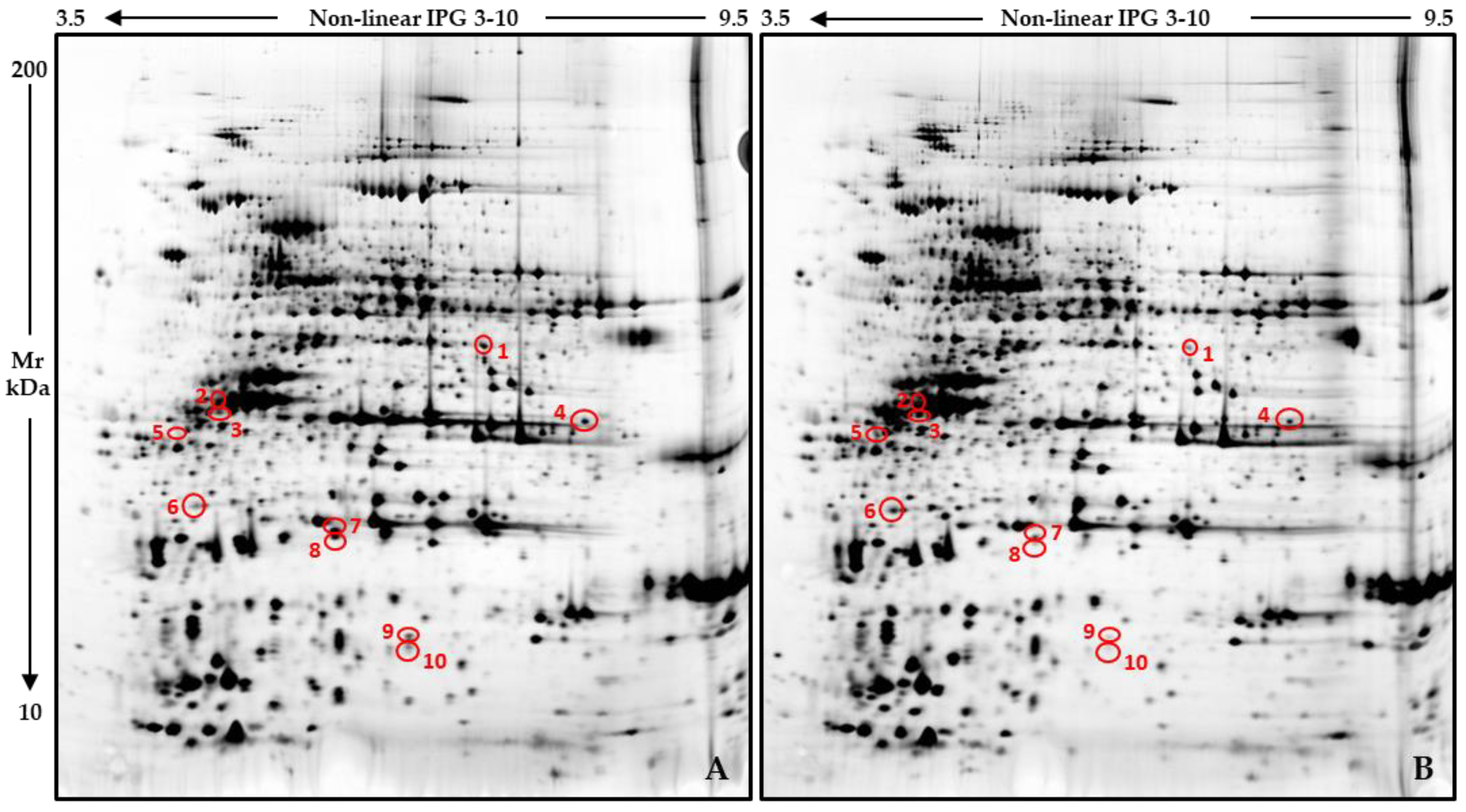 Plants 14 02046 g002