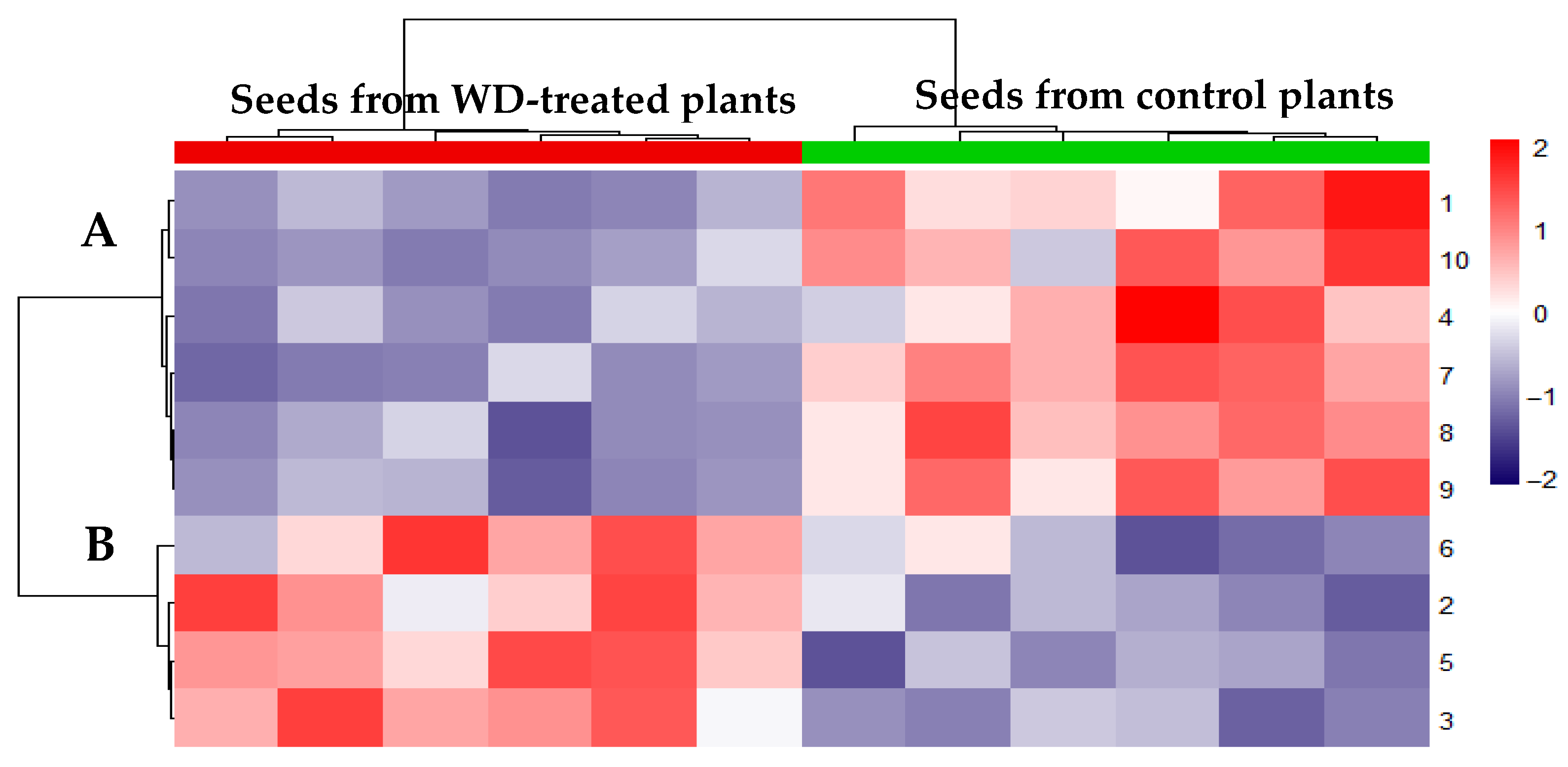 Plants 14 02046 g004