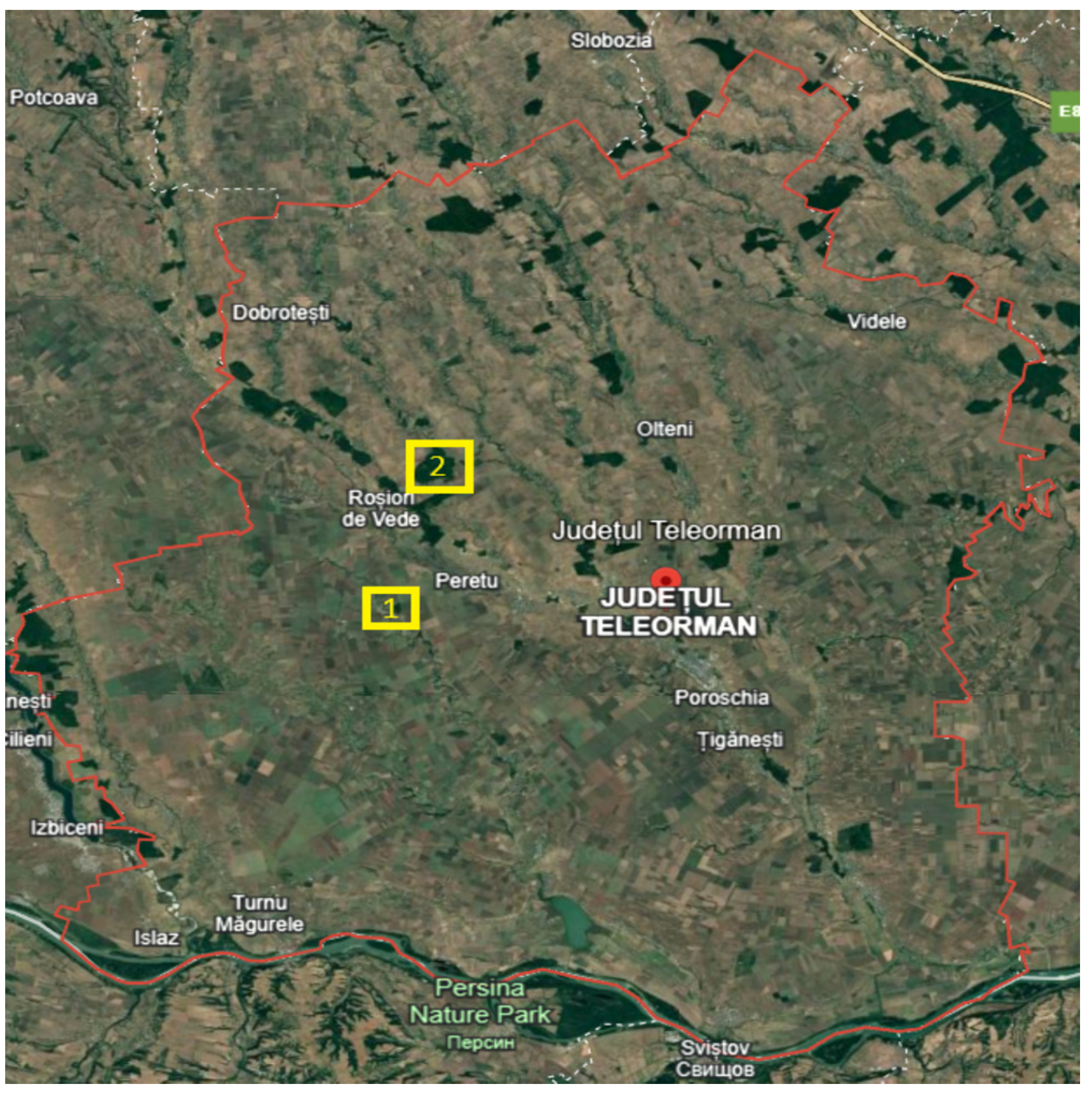 Plants 14 02056 g001