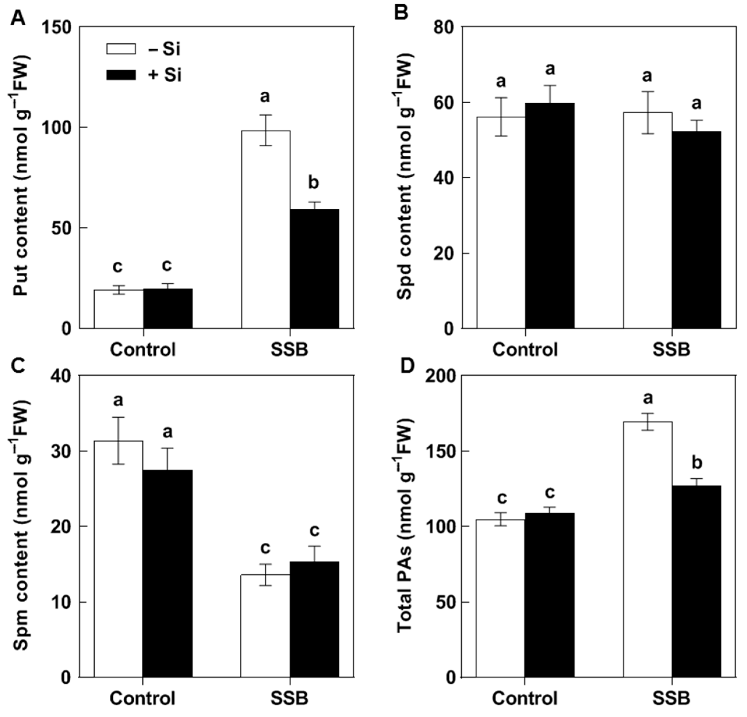 Plants 14 02066 g002