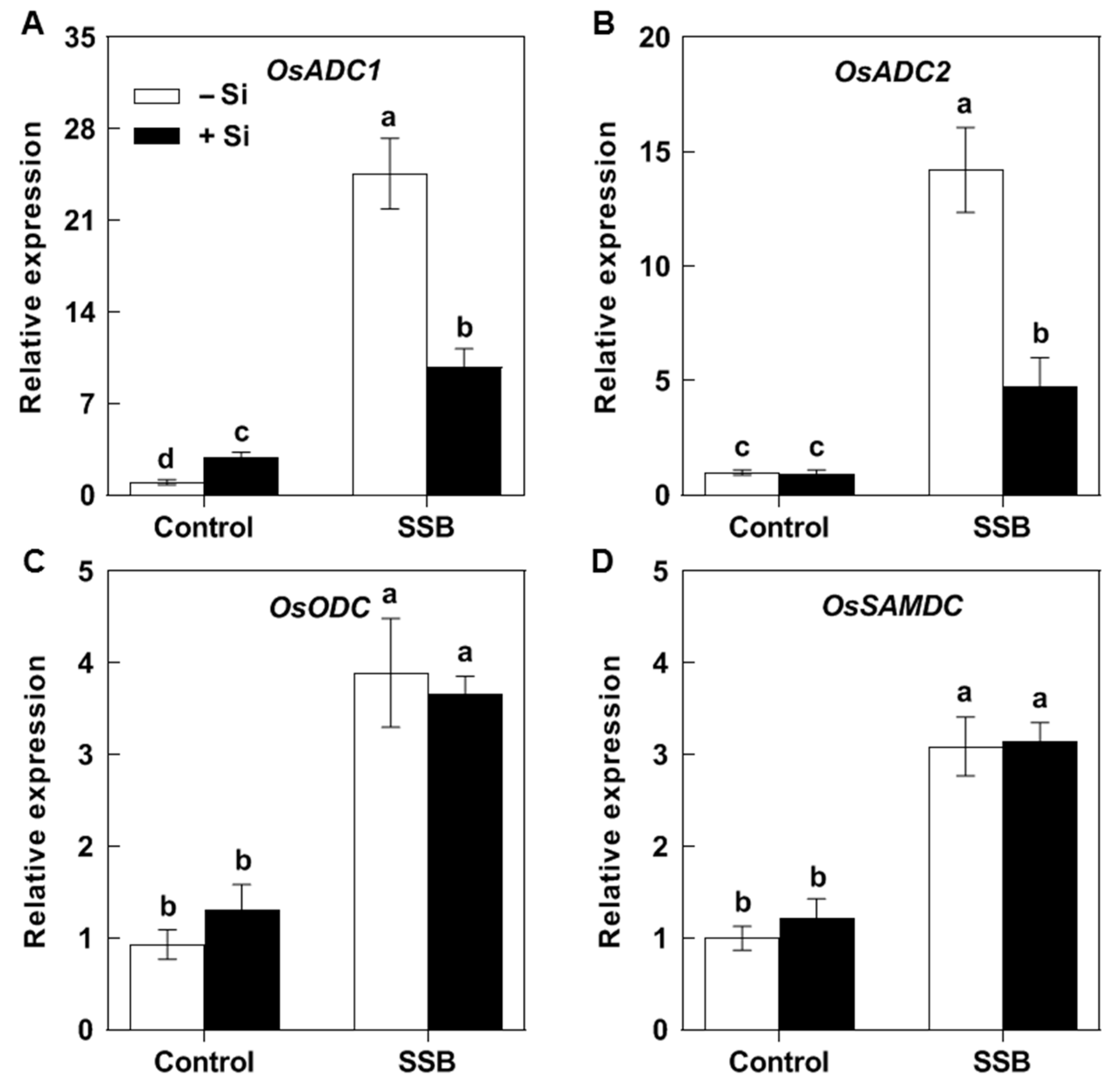 Plants 14 02066 g003