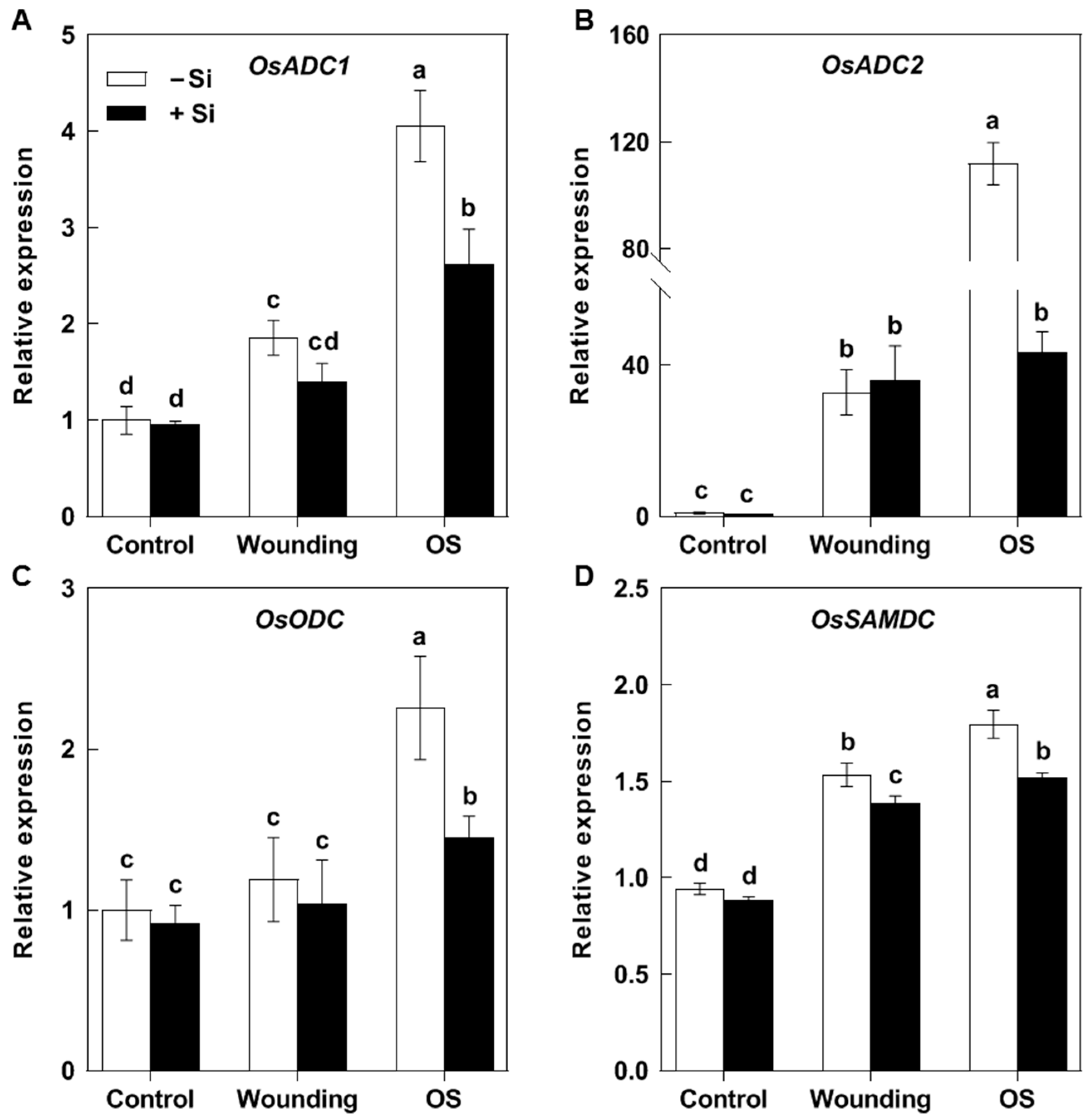 Plants 14 02066 g004