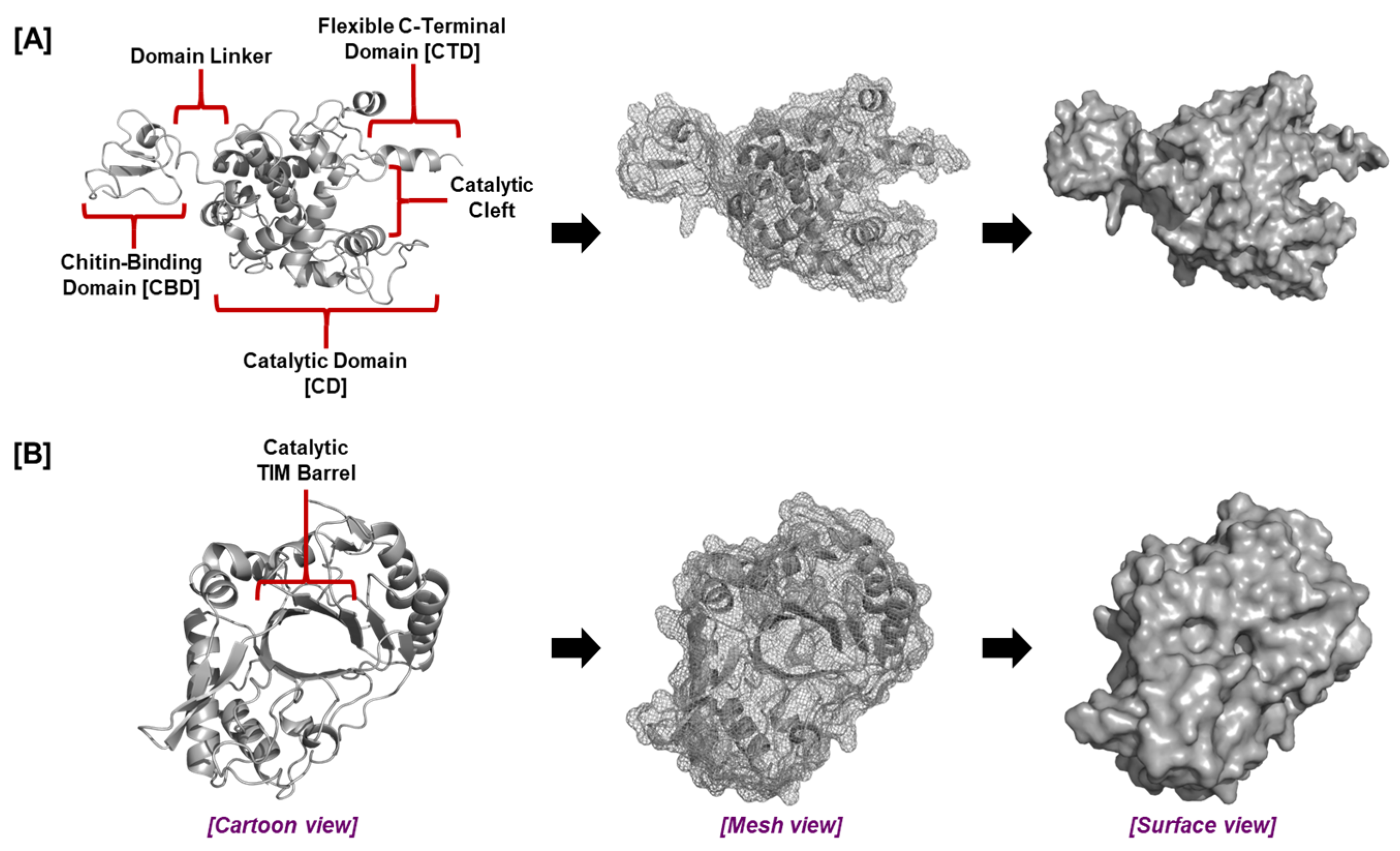 Plants 14 02069 g003