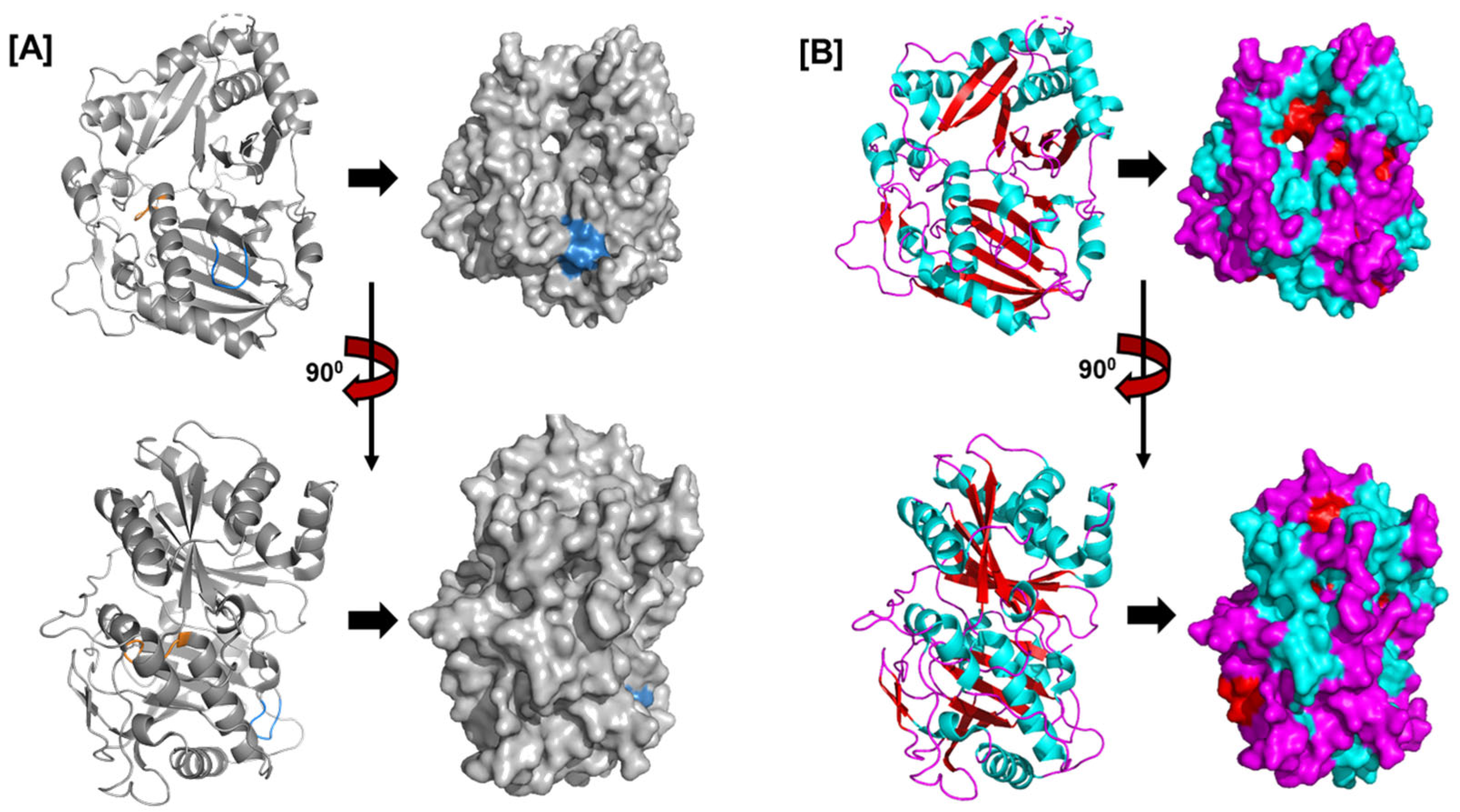 Plants 14 02069 g004