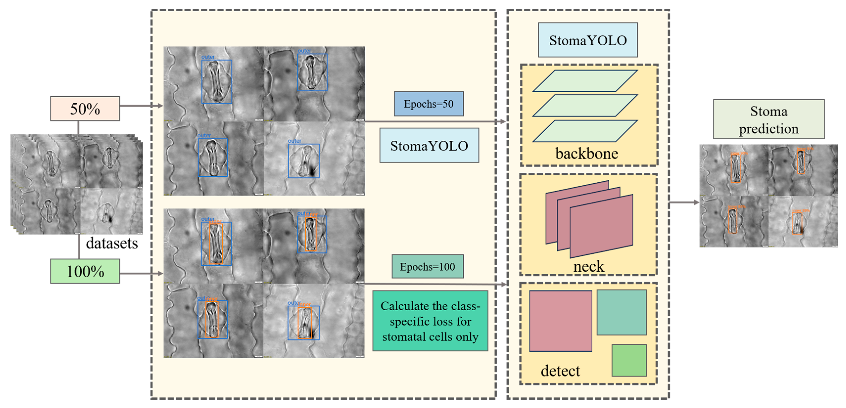 Plants 14 02070 g004