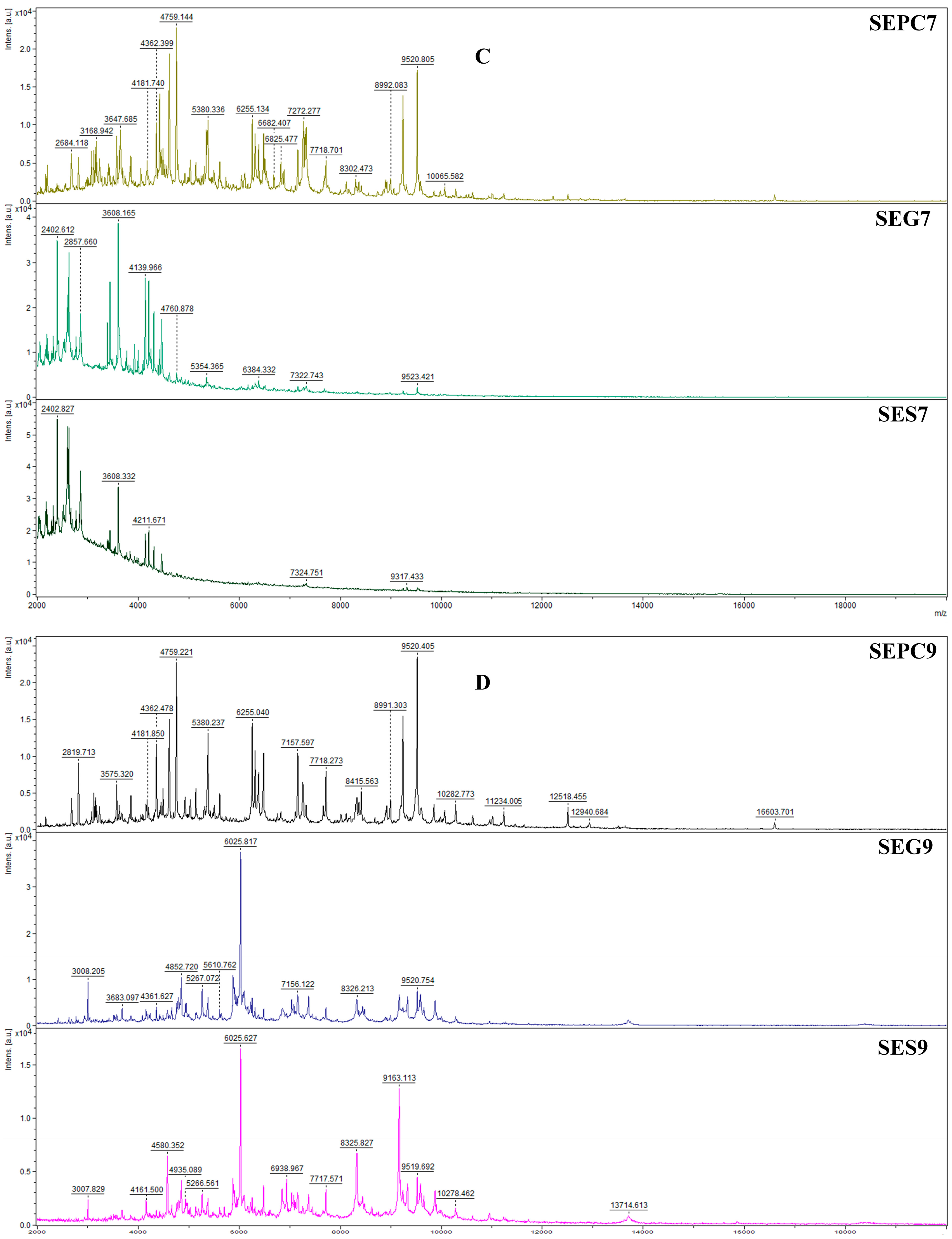 Plants 14 02071 g001b