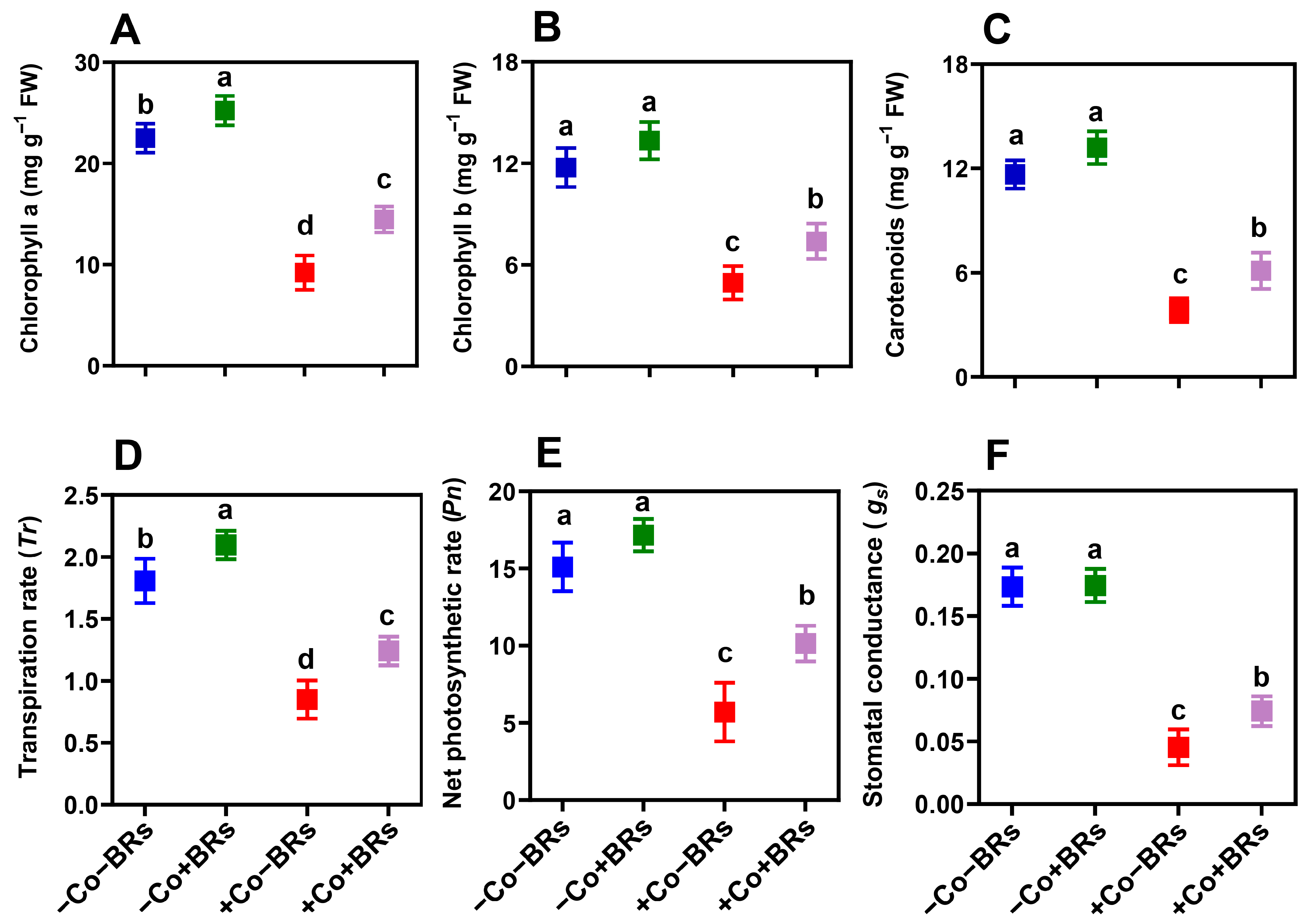 Plants 14 02076 g002