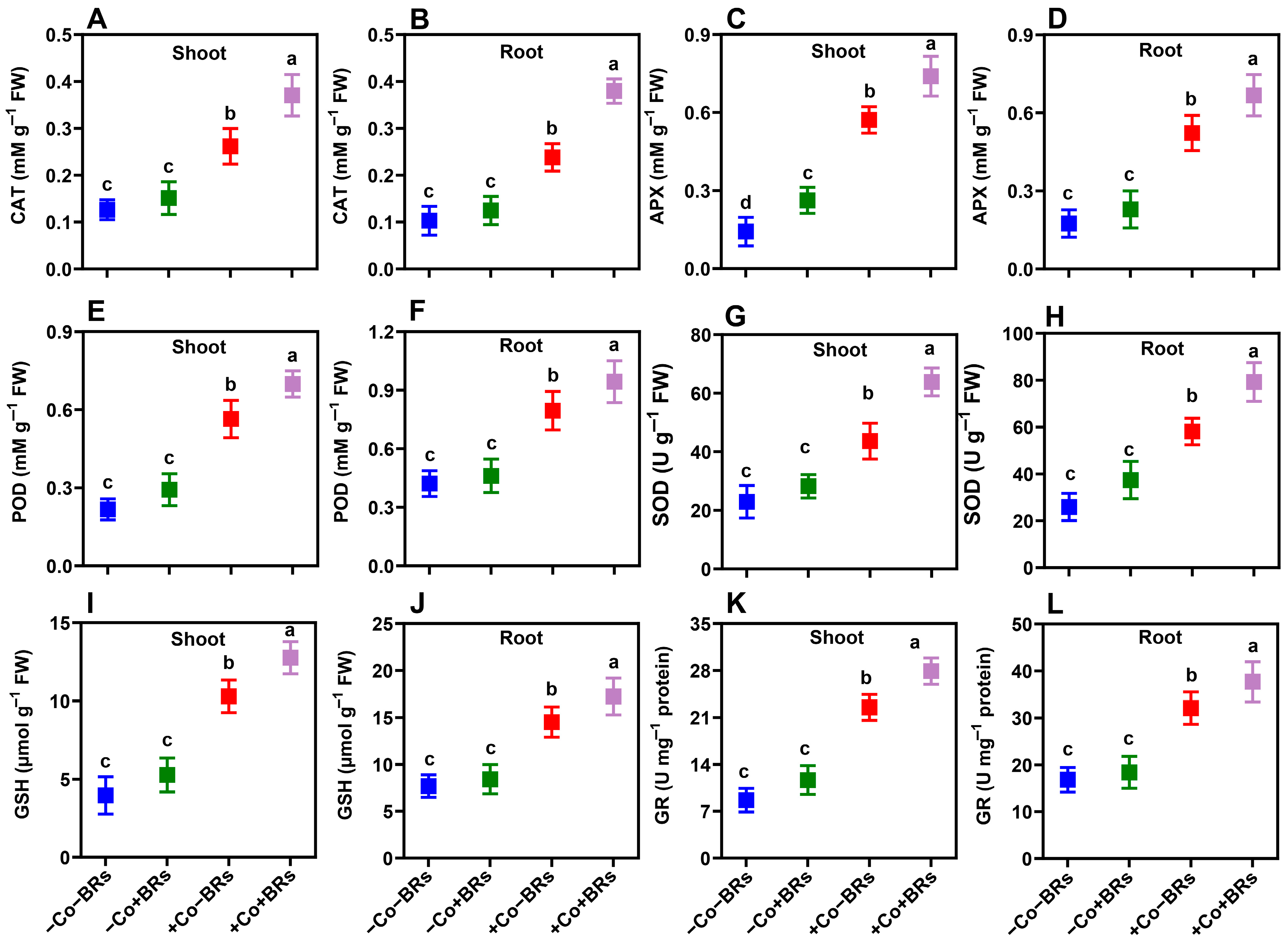 Plants 14 02076 g005