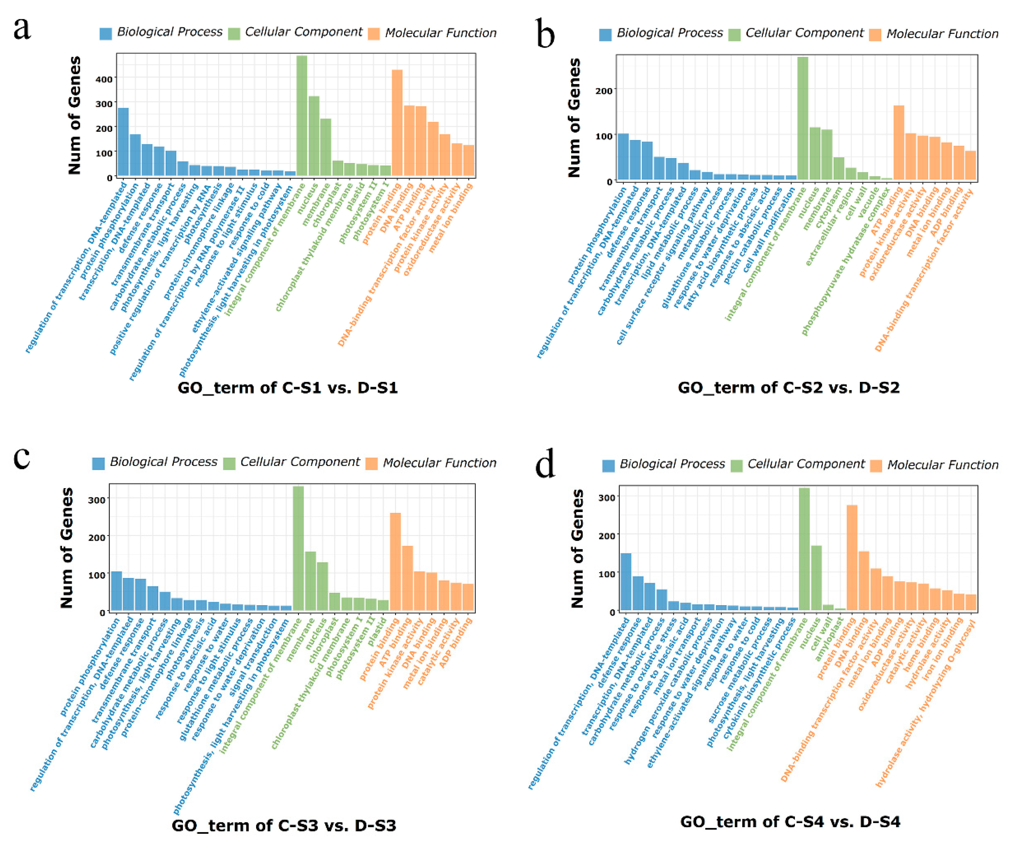 Plants 14 02077 g005