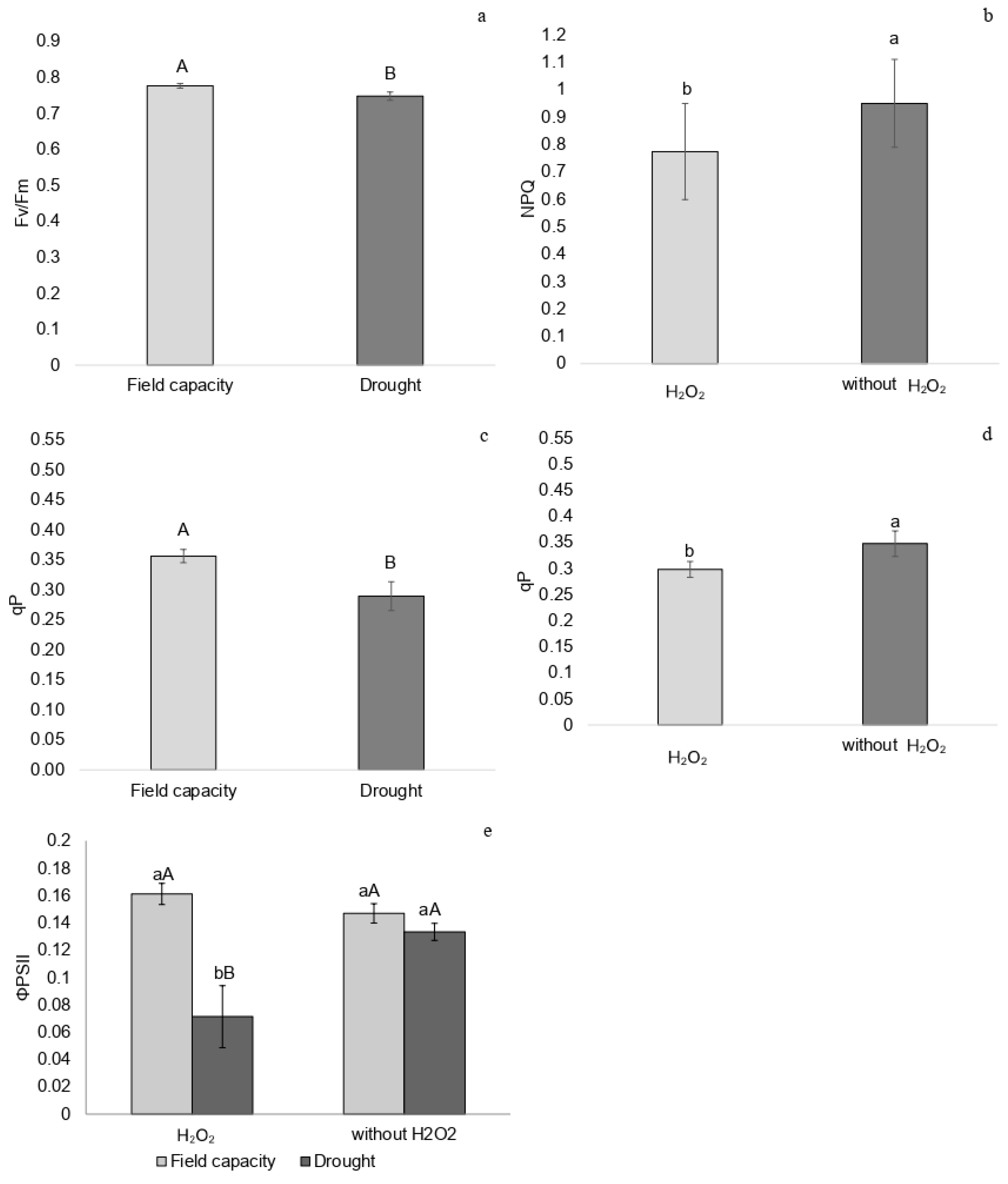 Plants 14 02078 g001 Plants 14 02078 g001