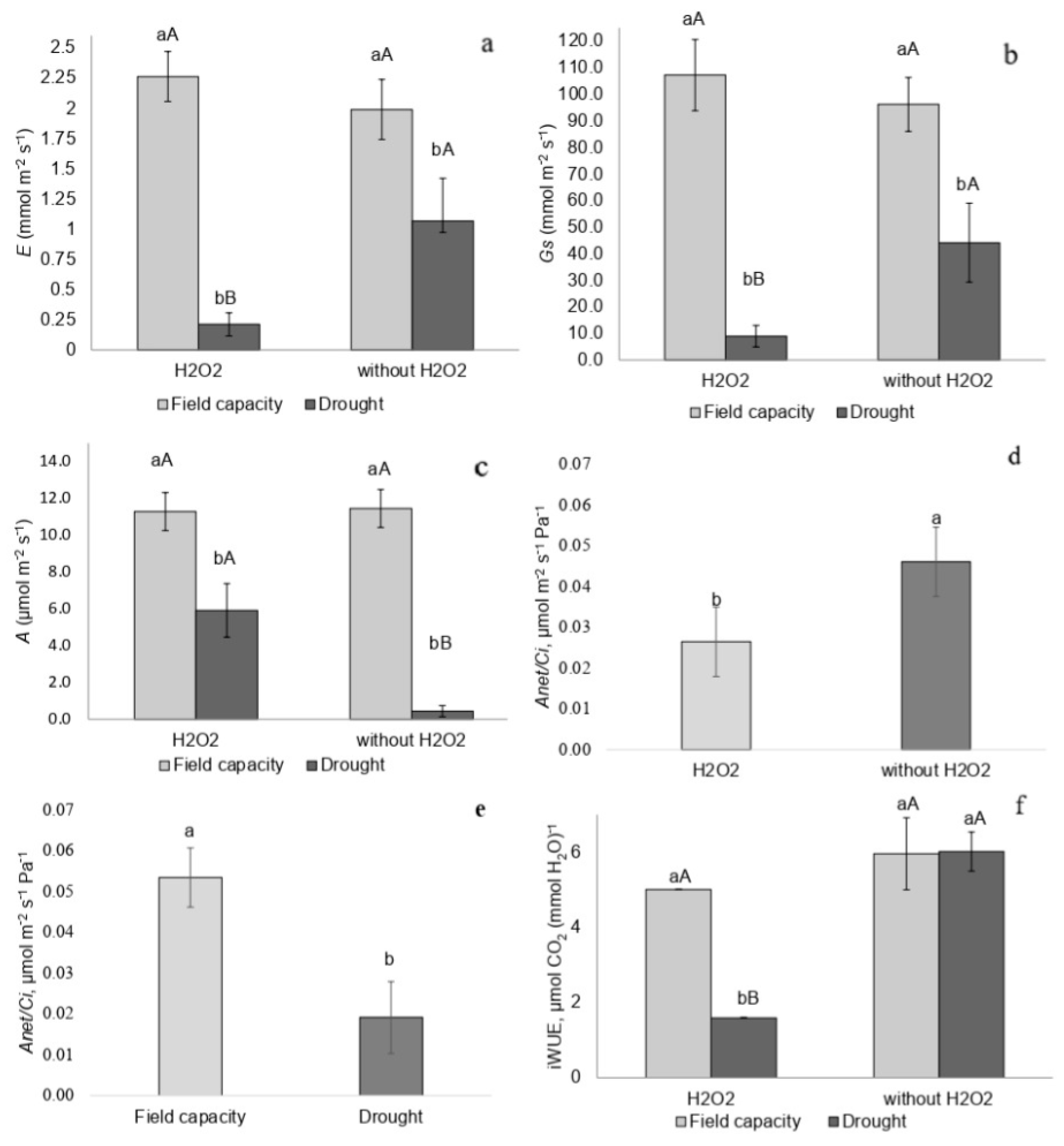 Plants 14 02078 g003 Plants 14 02078 g003