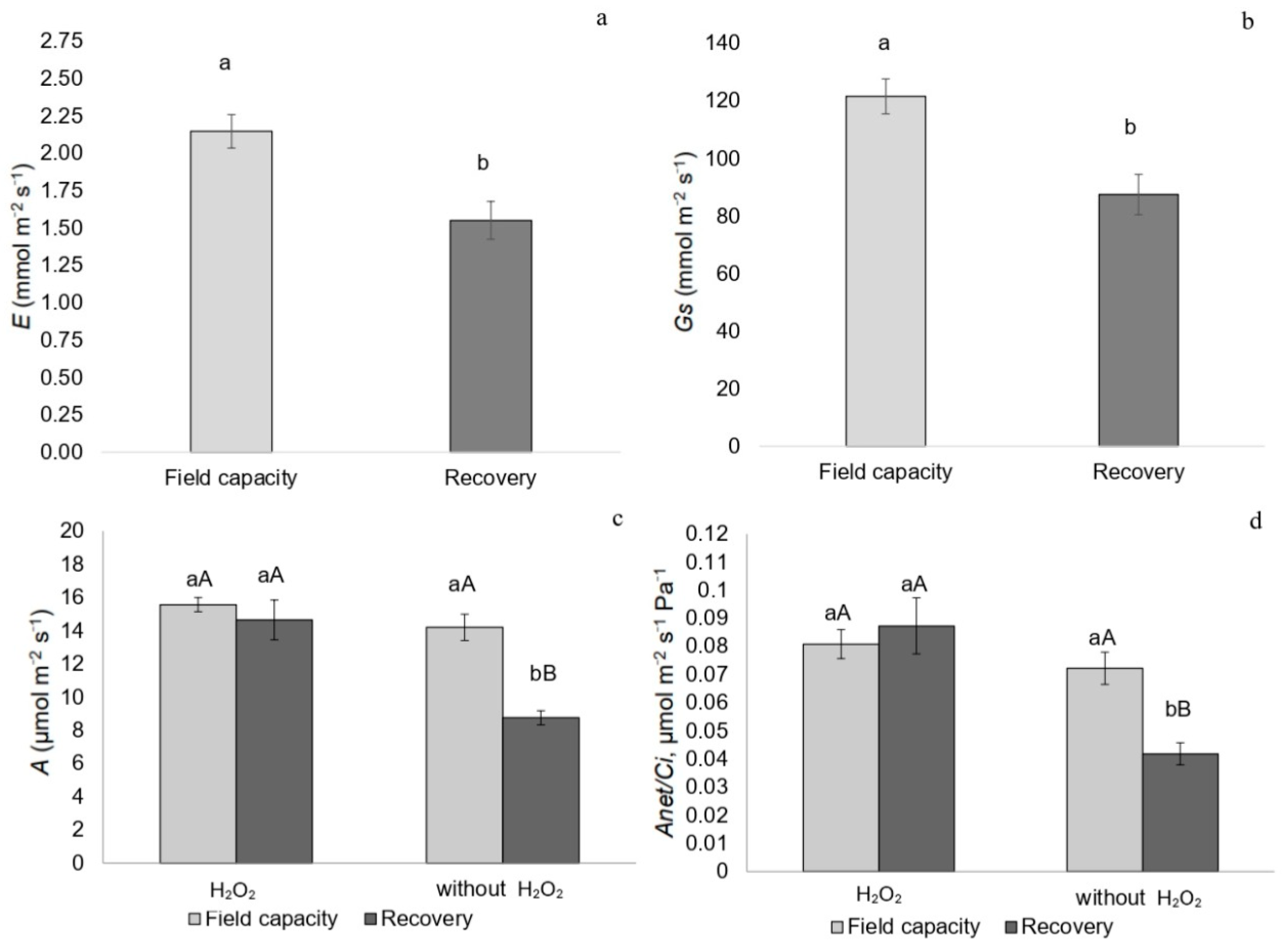 Plants 14 02078 g004 Plants 14 02078 g004