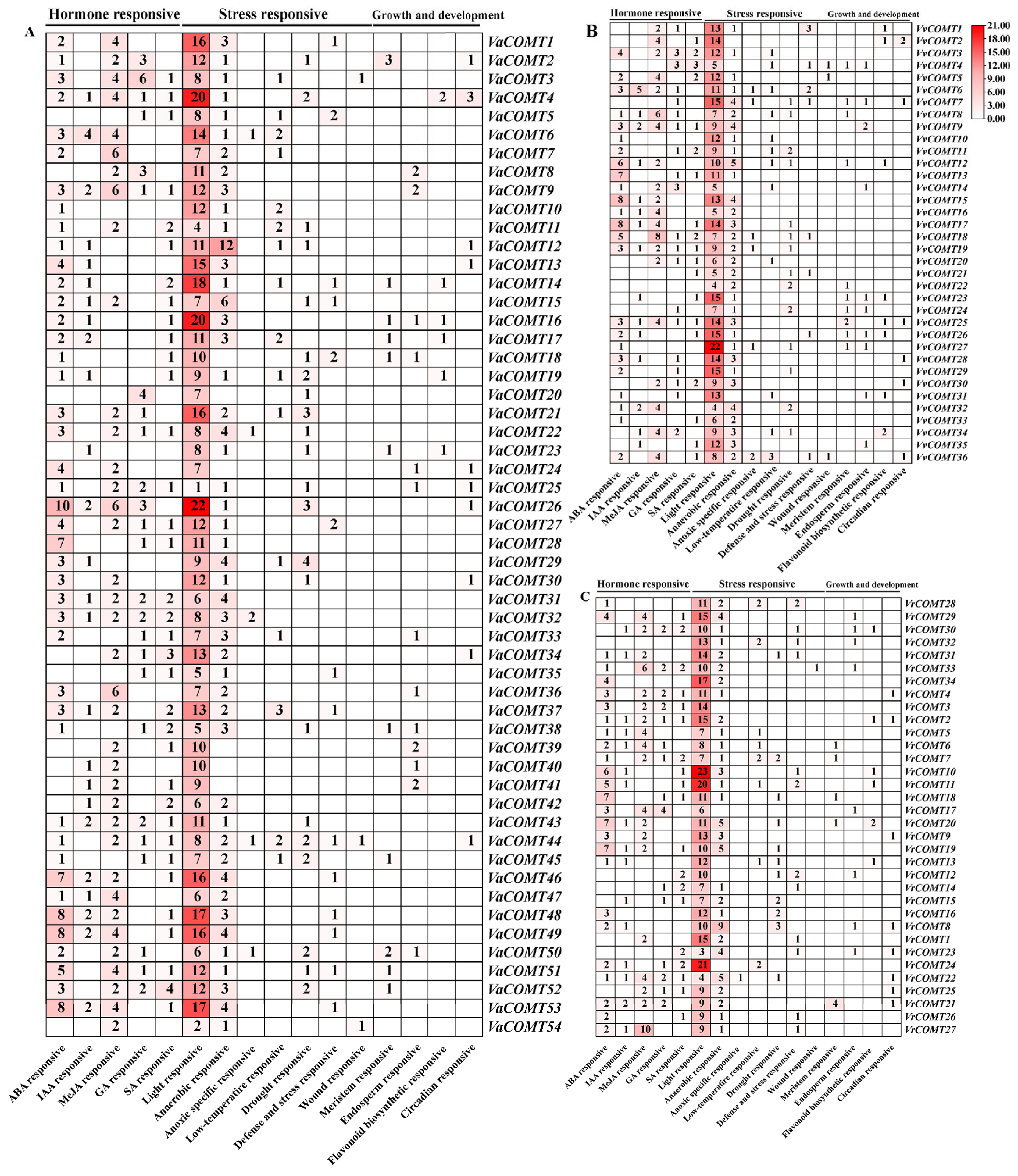 Plants 14 02079 g004