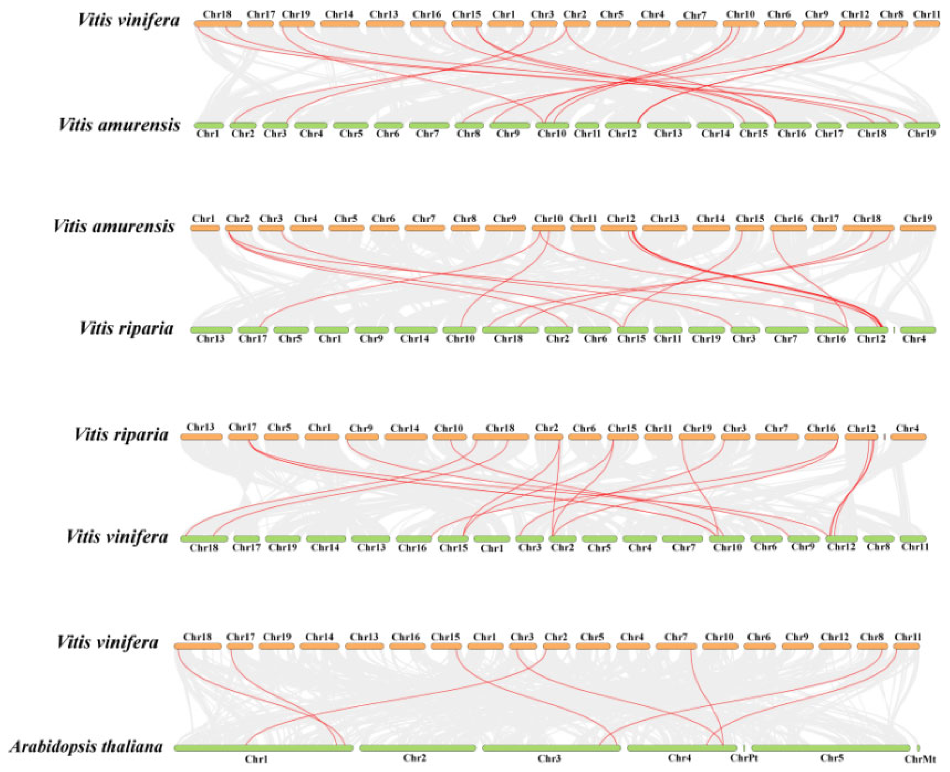 Plants 14 02079 g006