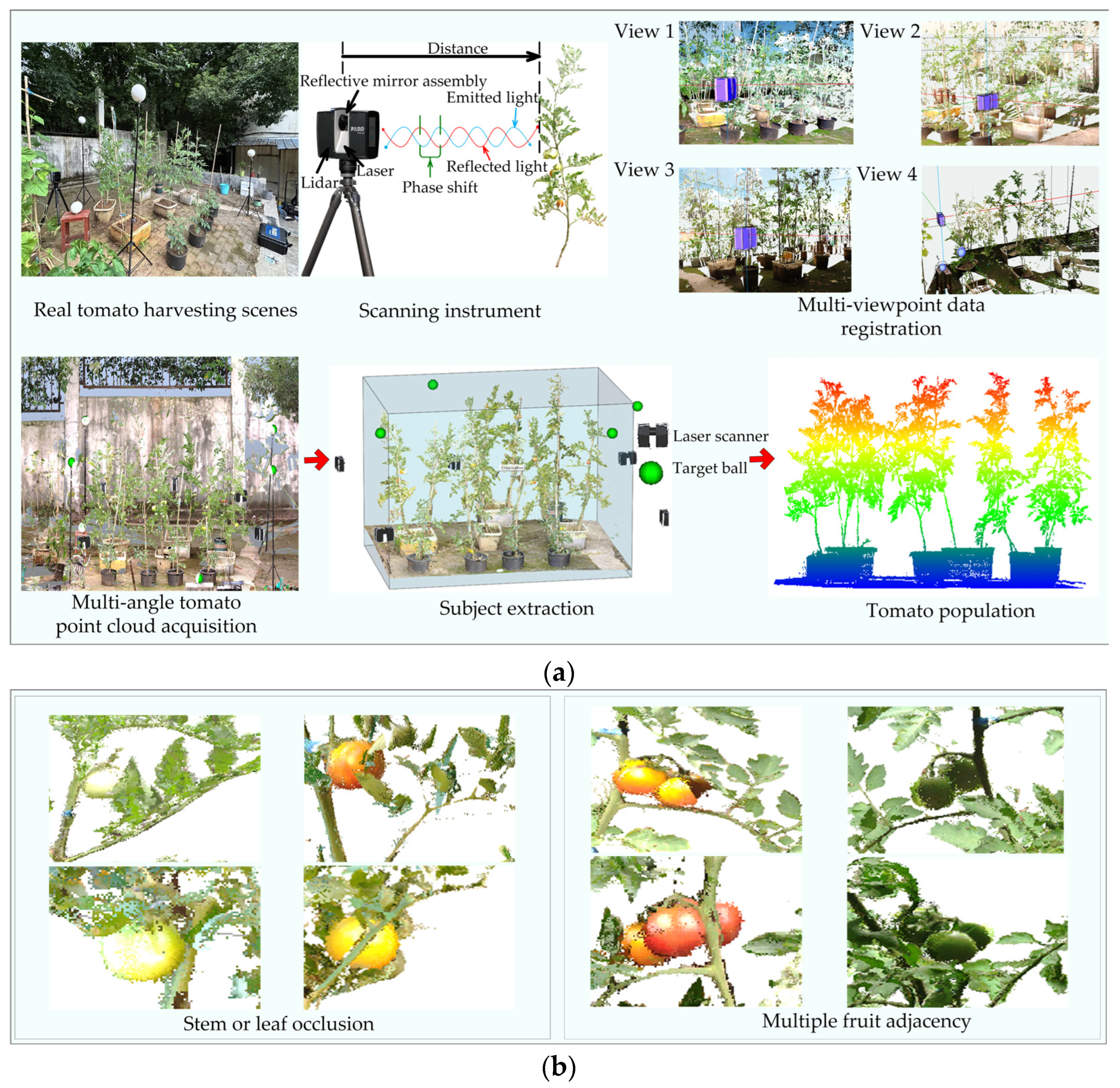 Plants 14 02080 g001