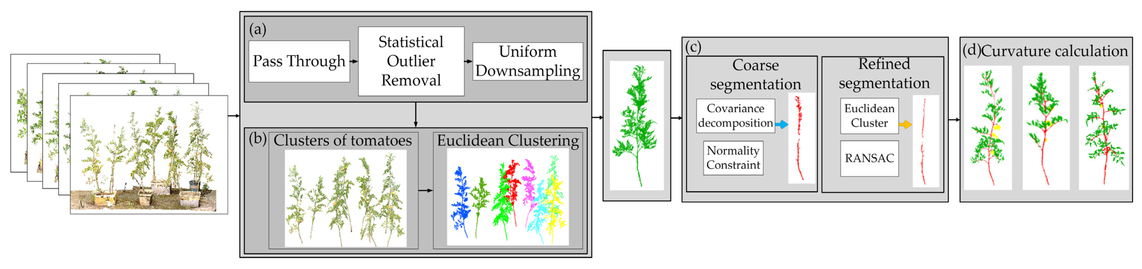 Plants 14 02080 g002