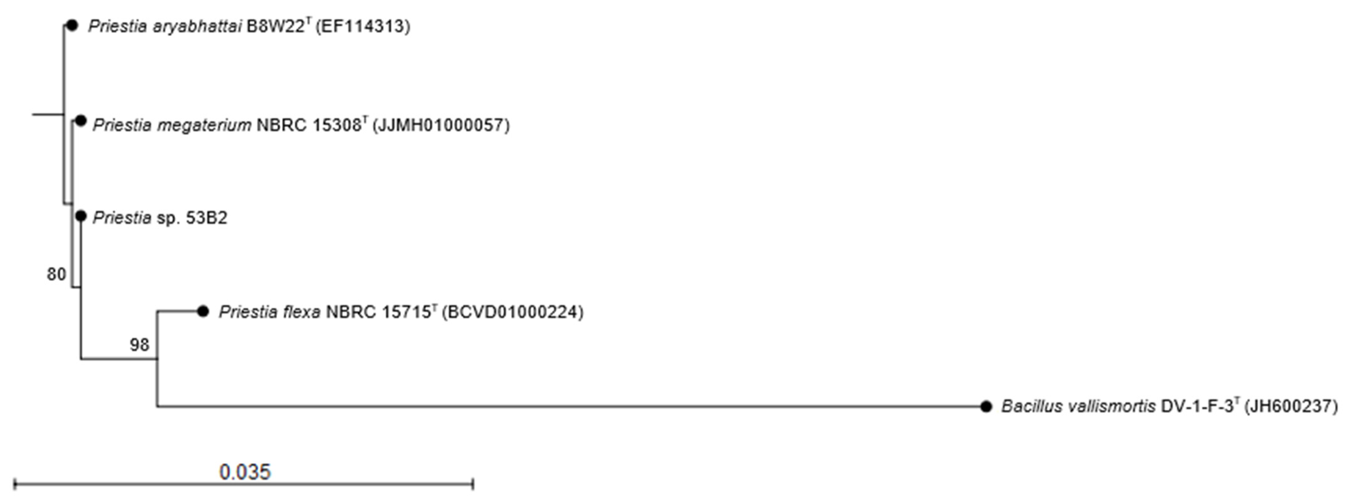 Plants 14 02081 g003