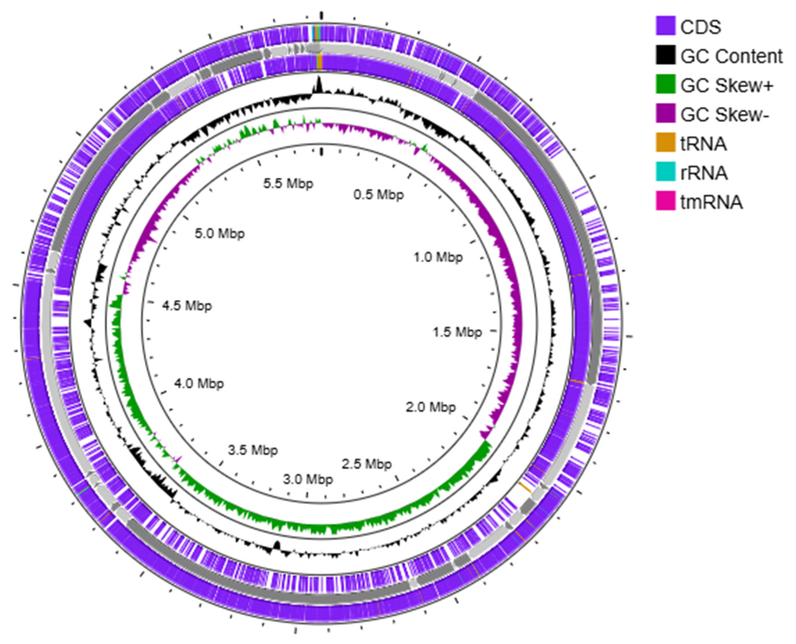 Plants 14 02081 g005