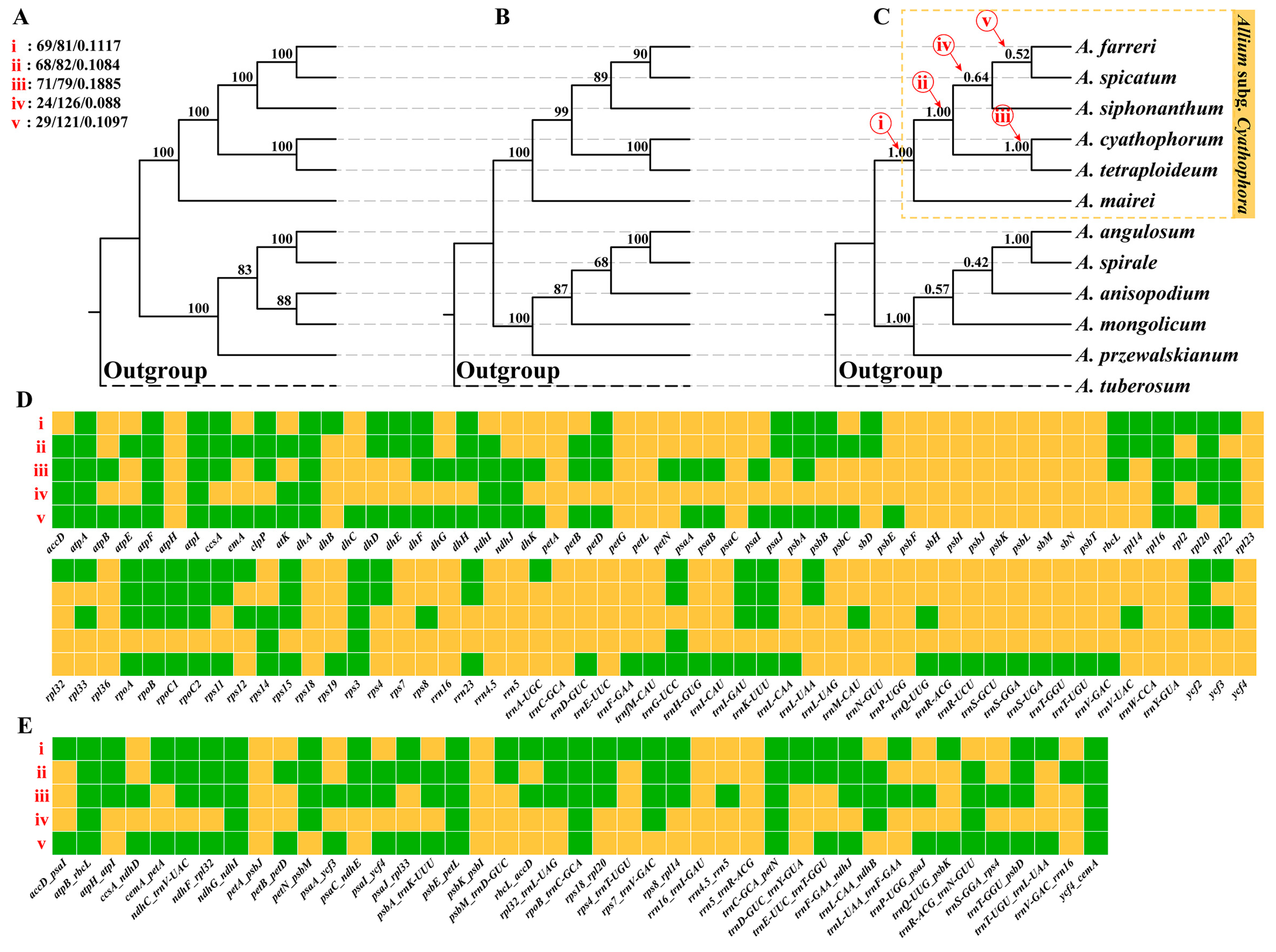 Plants 14 02083 g002