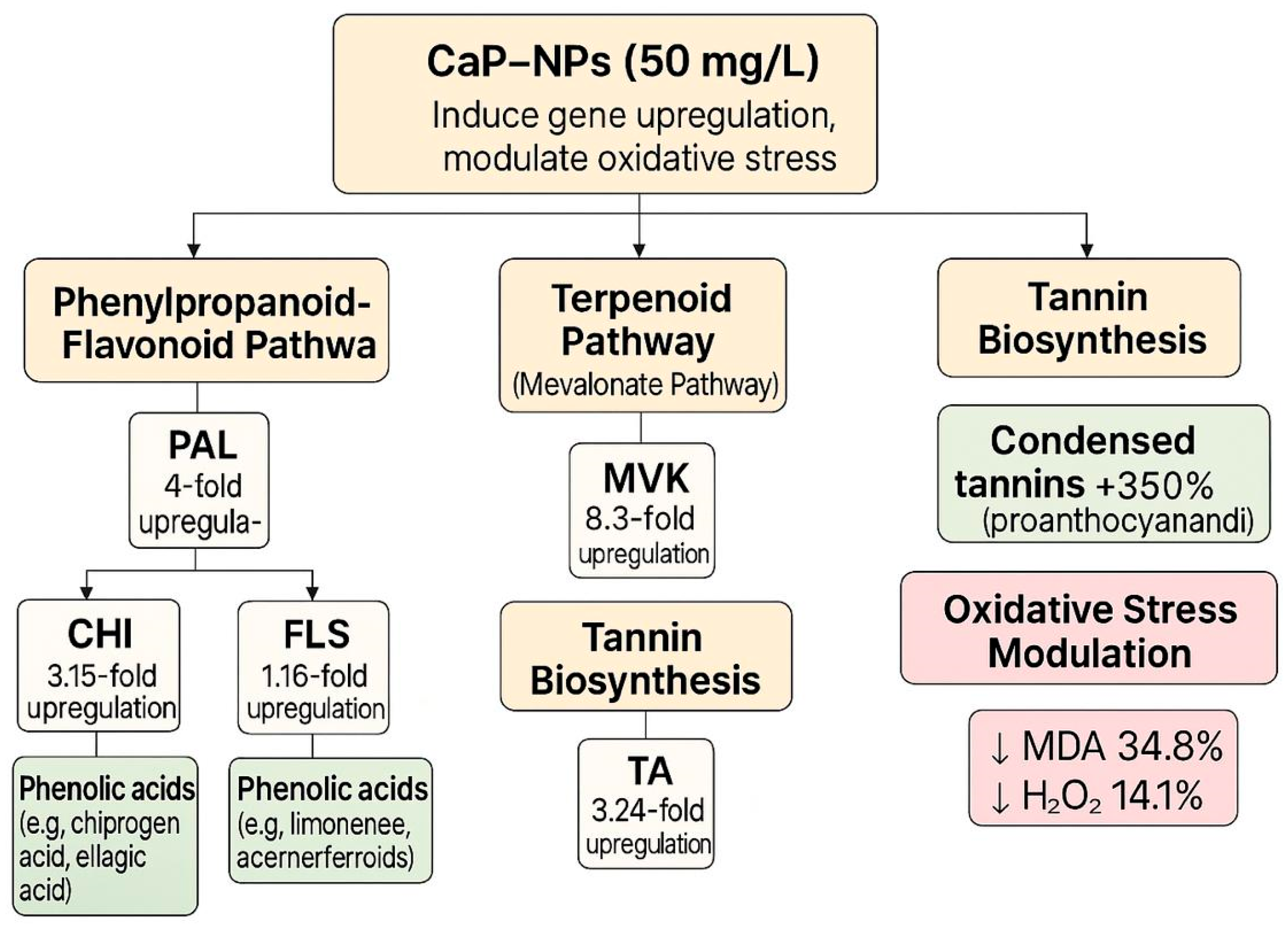 Plants 14 02093 g008