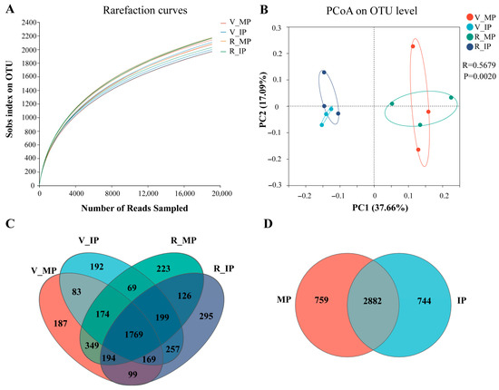 Quinoa–Peanut Relay Intercropping Promotes Peanut