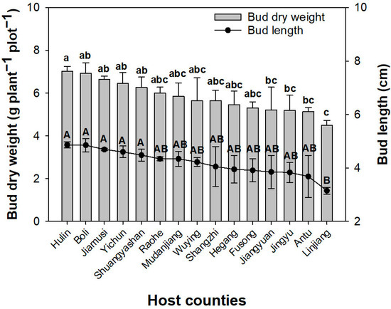 Ecophysiological Responses of Triterpene Glycosides in Buds