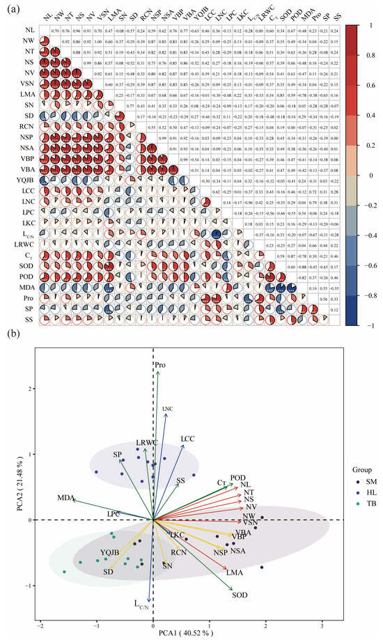 Climatic Adaptability Changes in Leaf Functional Traits of Old Pinus ...