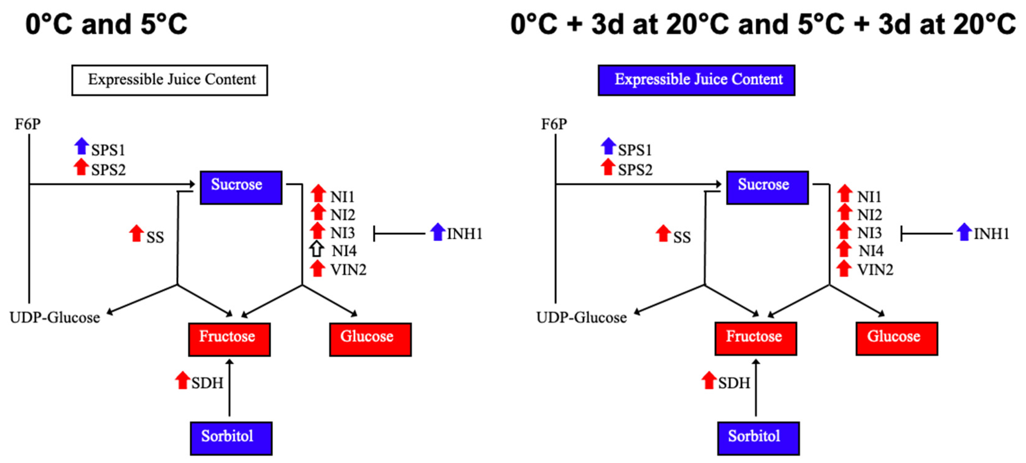 Plants 14 02133 g007 Plants 14 02133 g007